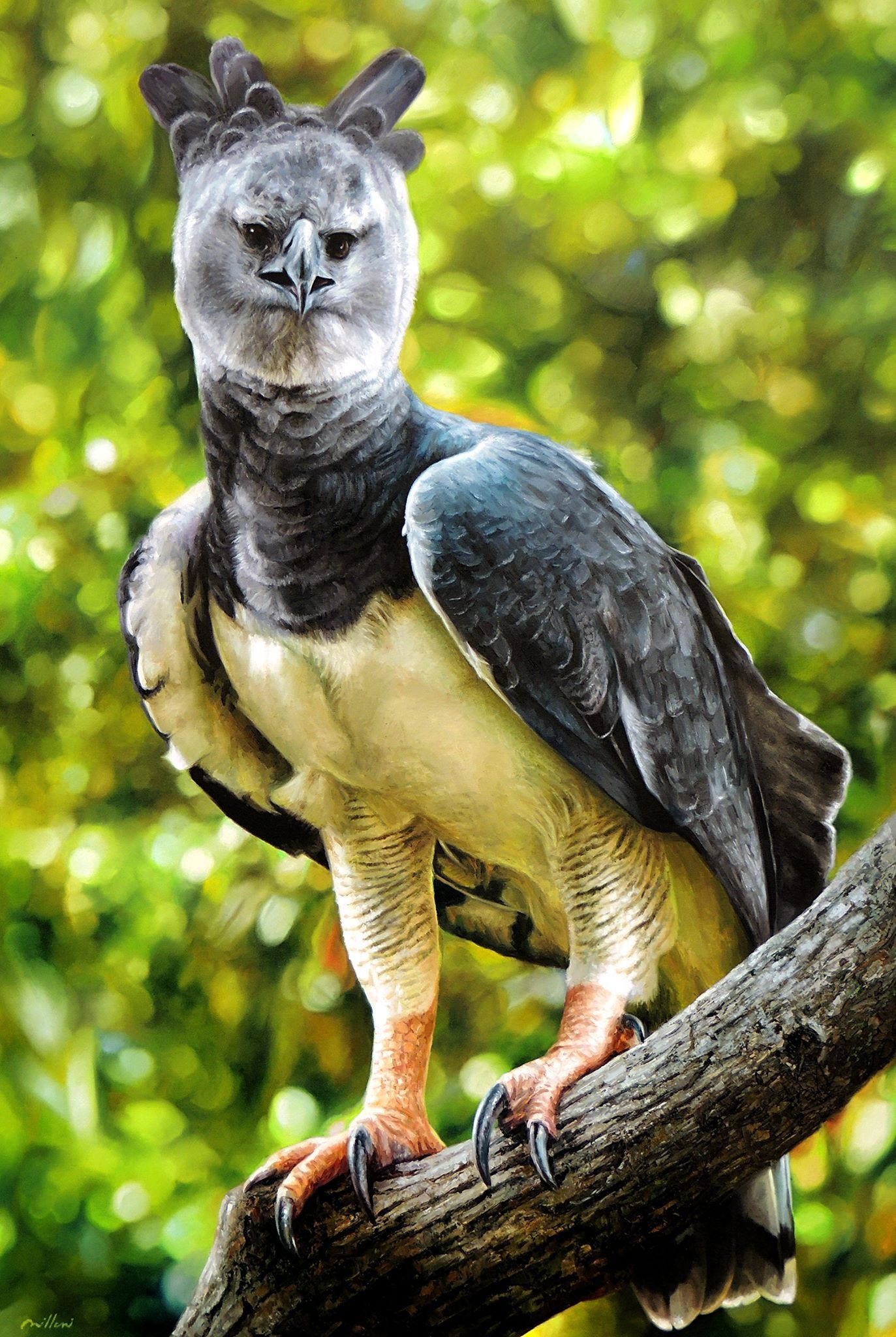 Artistic harpy eagle representation, Avian beauty in art form, Unusual animal imagery, Wildlife fascination, 1380x2050 HD Phone
