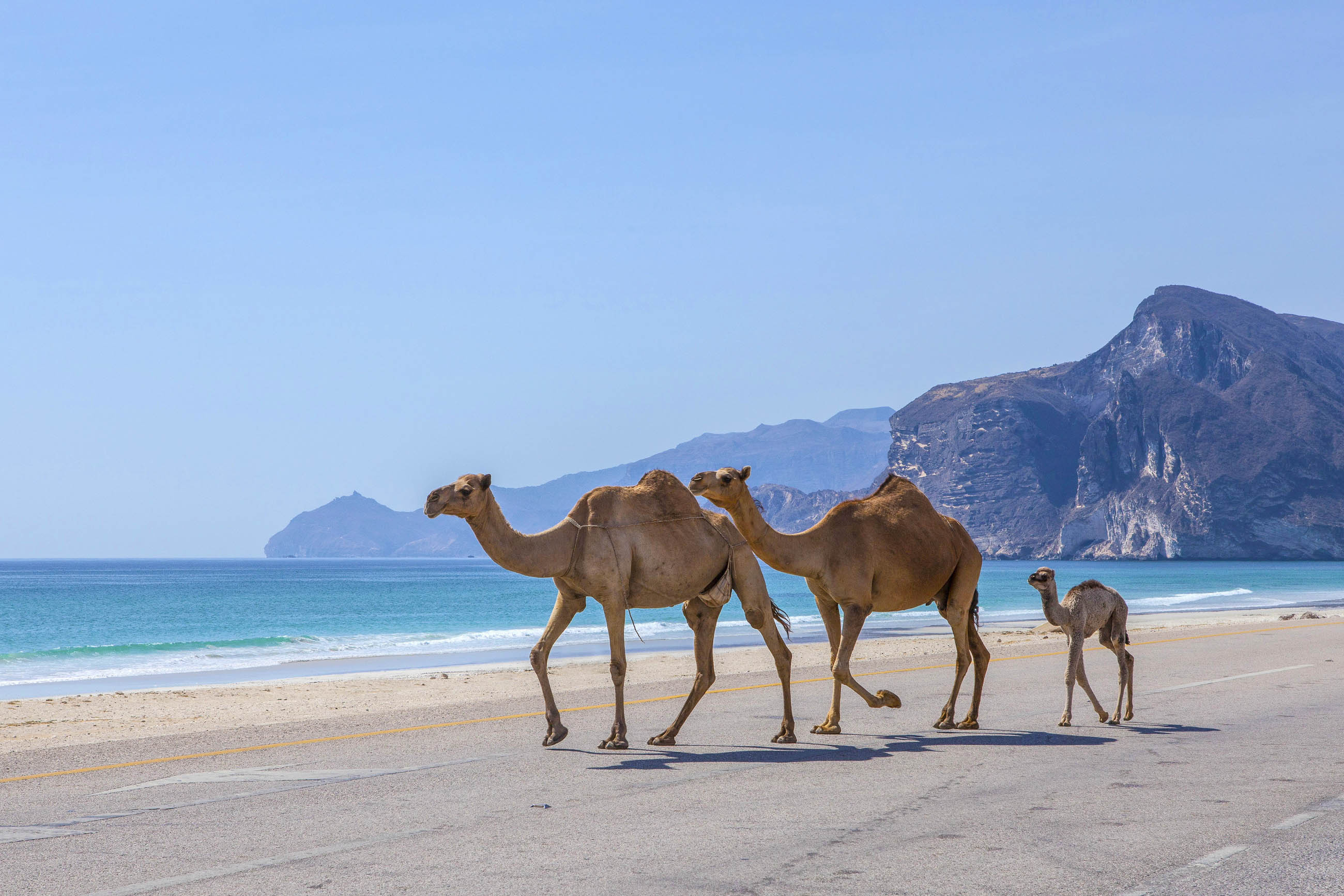 Oman: The oldest continuously independent state in the Arab world. 2600x1740 HD Wallpaper.