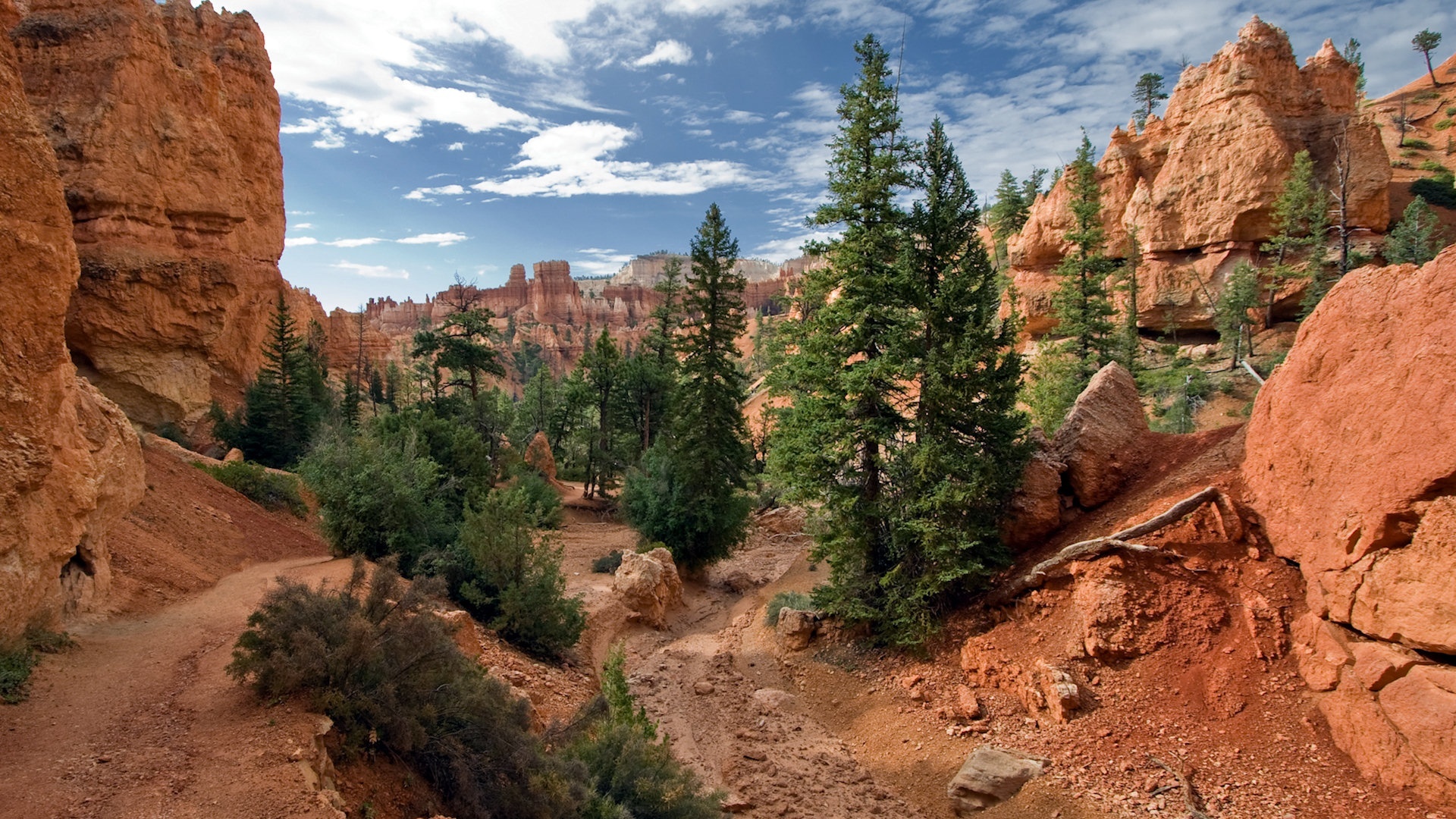 Bryce Canyon National Park, Wallpapers posted by Michelle Cunningham, Stunning views, Amazing landscapes, 1920x1080 Full HD Desktop