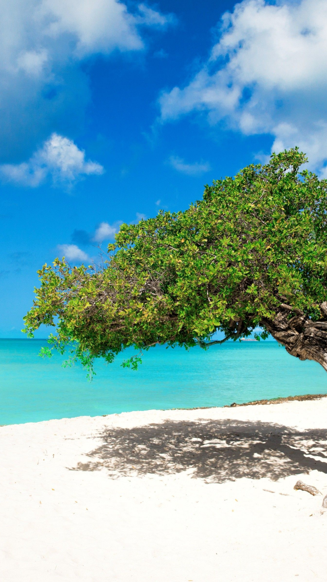 Aruba Island, Astonishing beauty, Paradise found, Unforgettable moments, 1080x1920 Full HD Phone