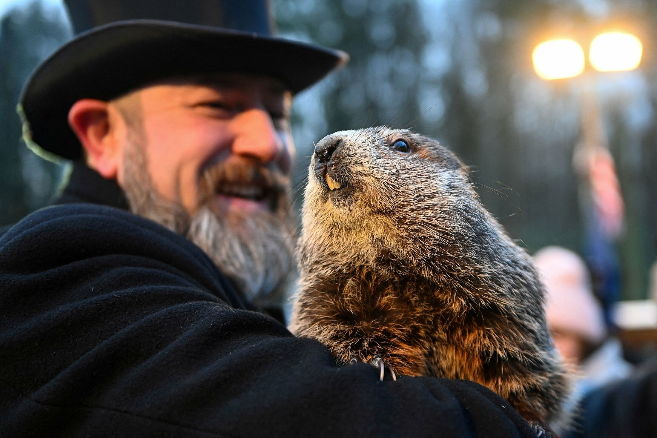 Groundhog Day (Holiday): The Pennsylvania Dutch superstition, Phil. 2200x1470 HD Wallpaper.