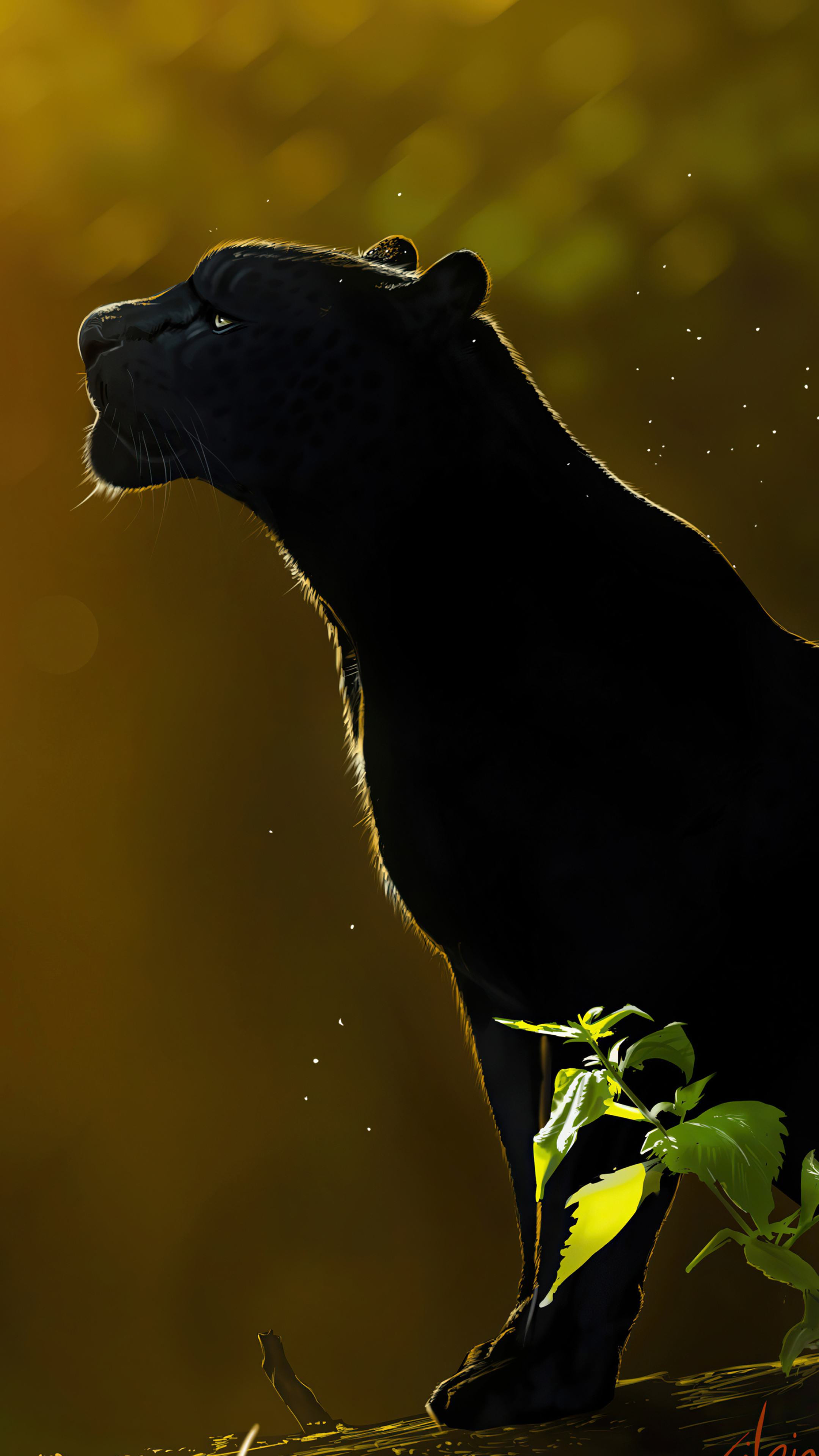 Black Panther (Animal): The product of a dominant gene mutation that causes extra melanin and a primarily dark coat. 2160x3840 4K Background.