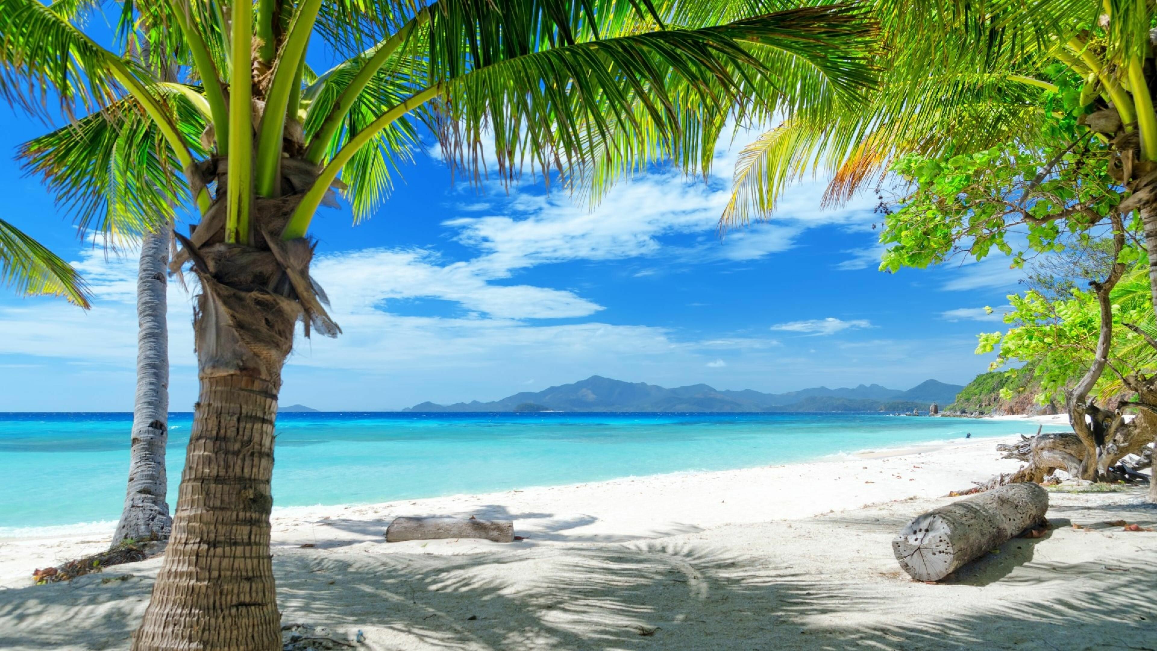 Beach: Landscape, Palm trees, White sand, Seashore, Coast, Island. 3840x2160 4K Wallpaper.