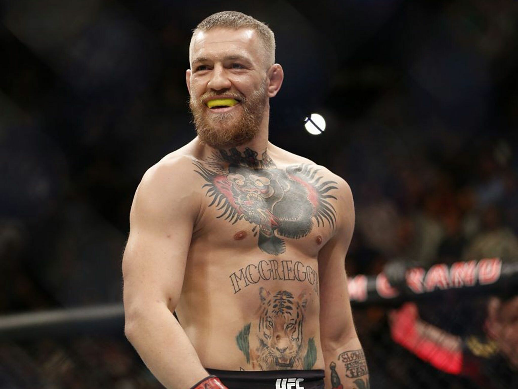 Conor McGregor: The second fighter from Ireland to compete for the UFC. 2050x1540 HD Wallpaper.