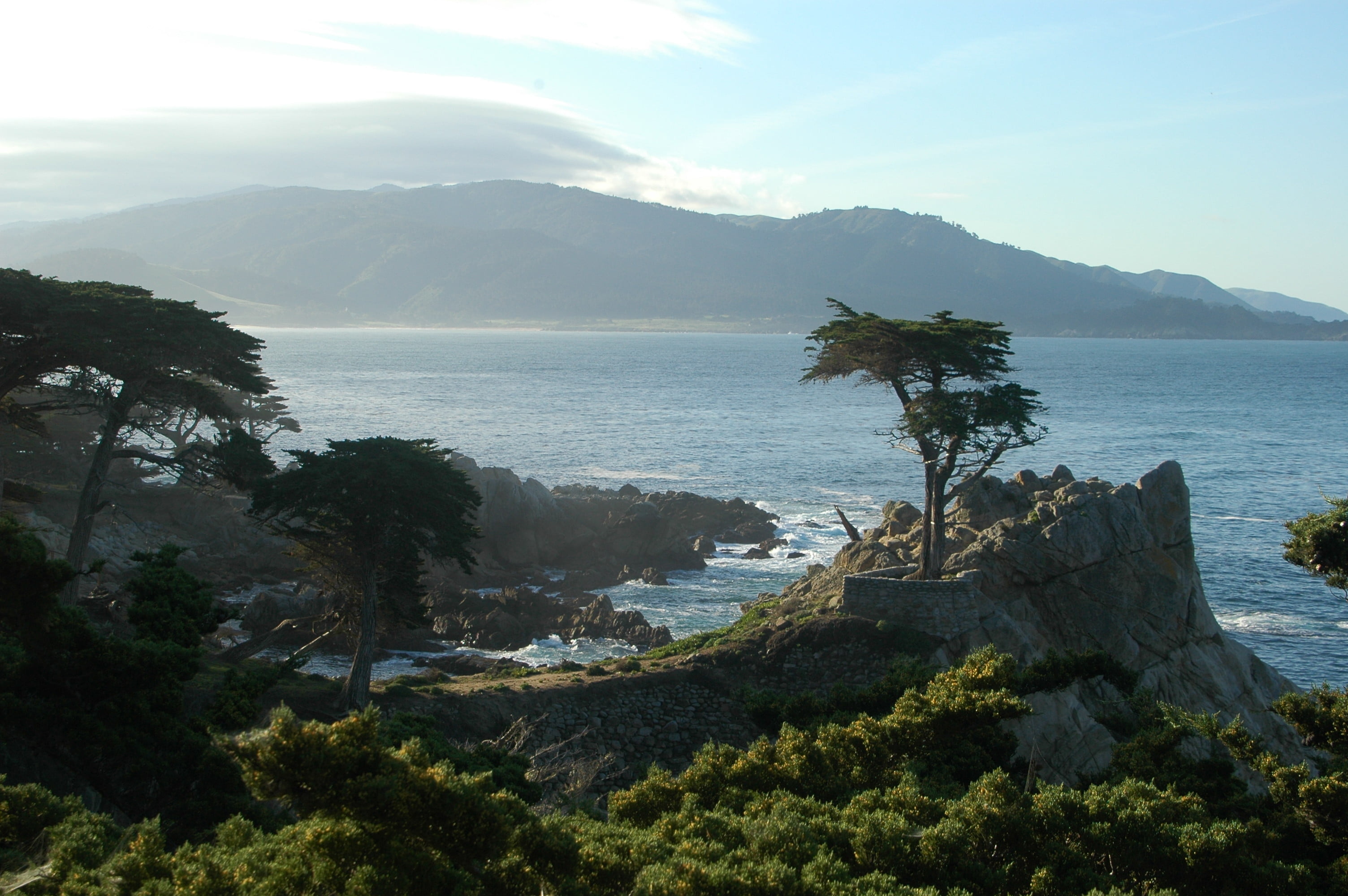Cypress Tree, Blue sea, Islands, Monterey Cyprus, 3010x2000 HD Desktop