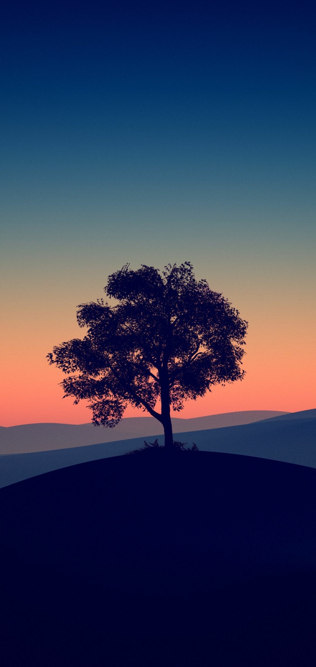 Lone tree, Solitude's embrace, Serene beauty, Captivating simplicity, 1080x2280 HD Phone