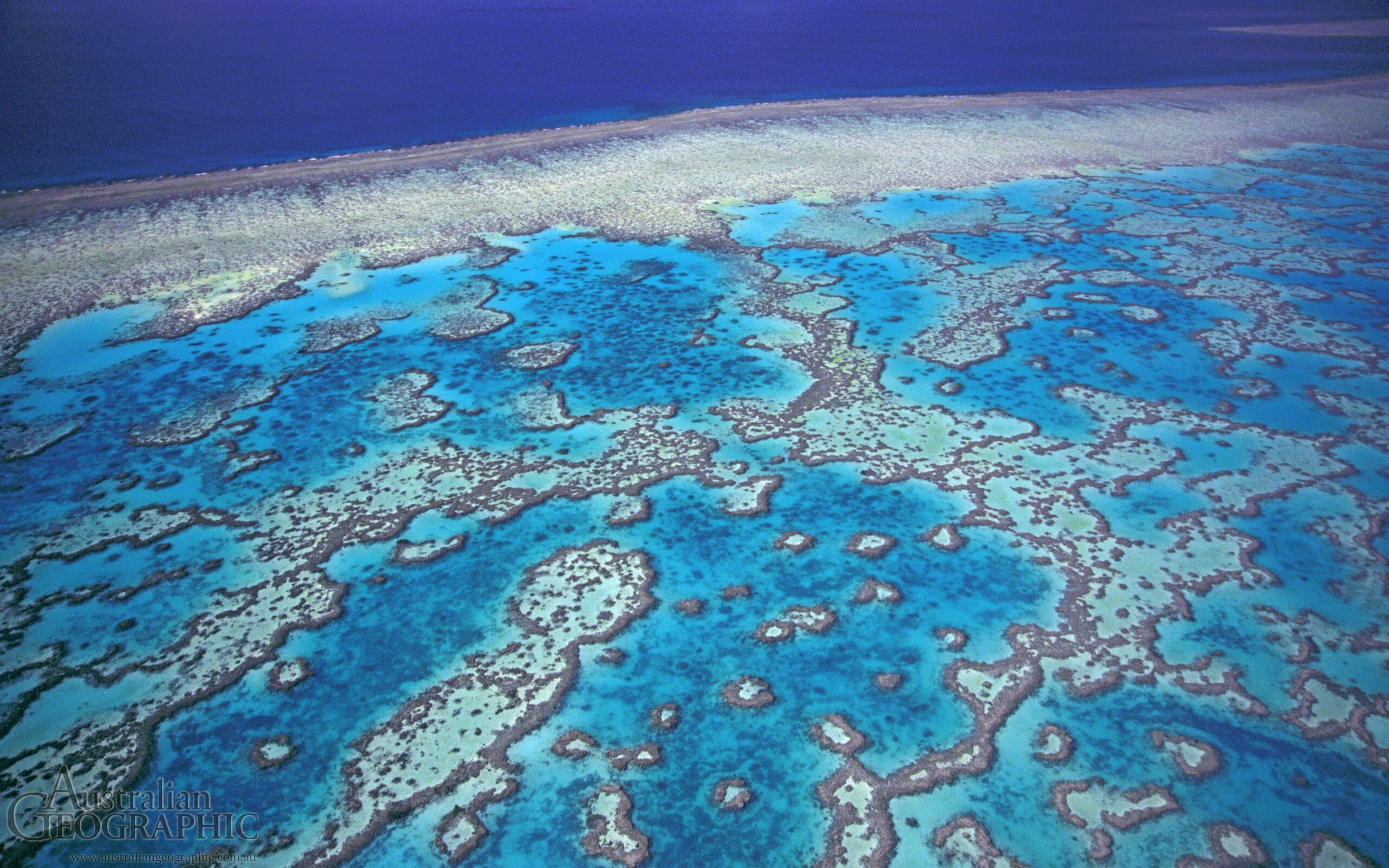 Great Barrier Reef: Wistari Reef, The Marine Park, Stretches approximately 2300 kilometers along the coast of Queensland in north-eastern Australia. 2560x1600 HD Background.