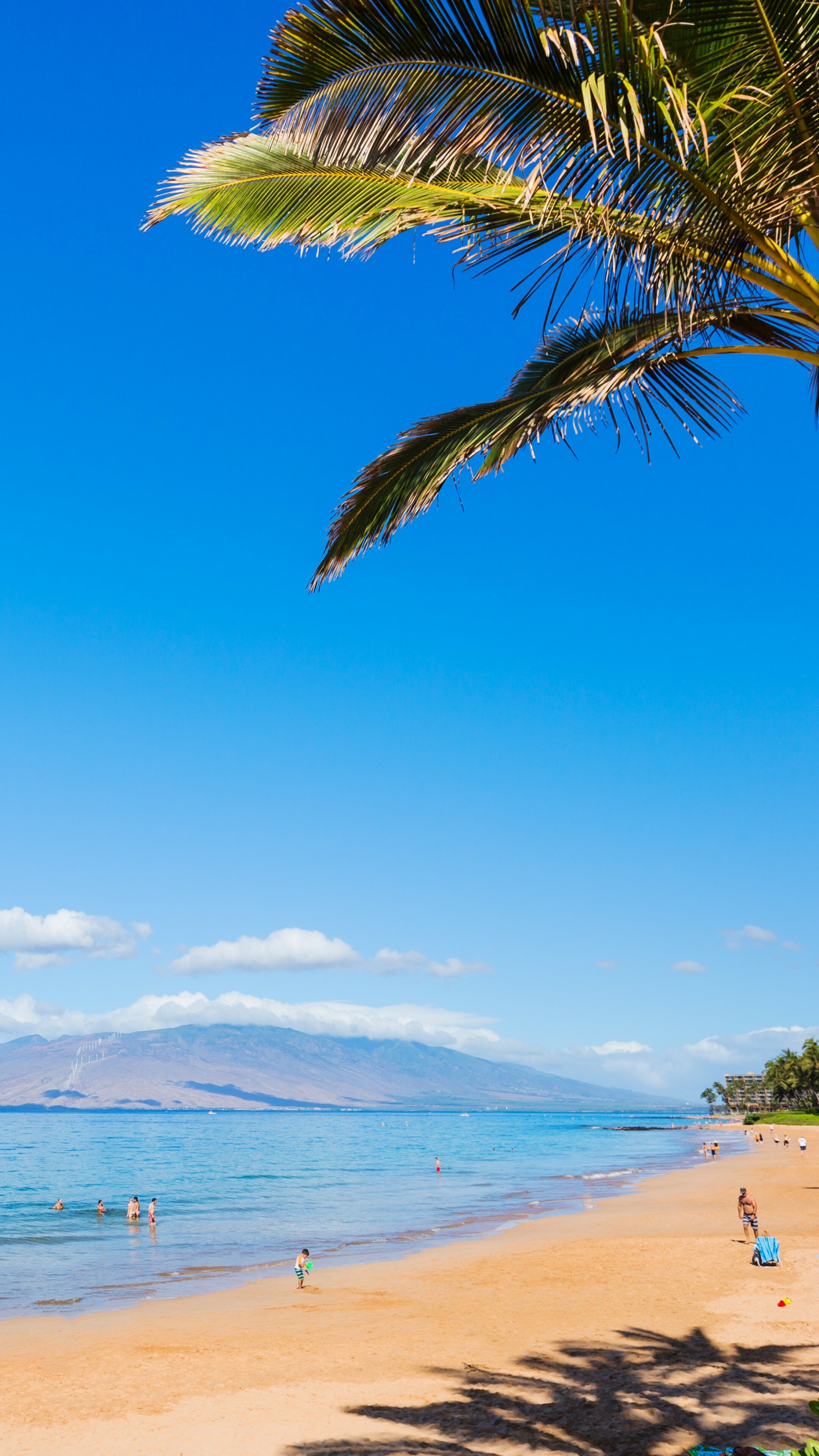 Maui (Hawaii): The island has a population of 169,000, the third-highest of the Hawaiian Islands. 2160x3840 4K Background.