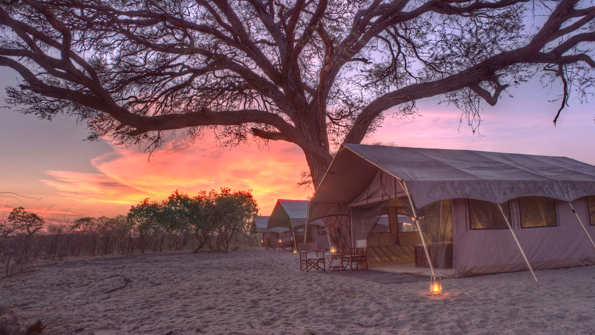 AndBeyond Chobe Under Canvas, Luxury safari, Authentic experience, Botswana adventure, 1920x1080 Full HD Desktop