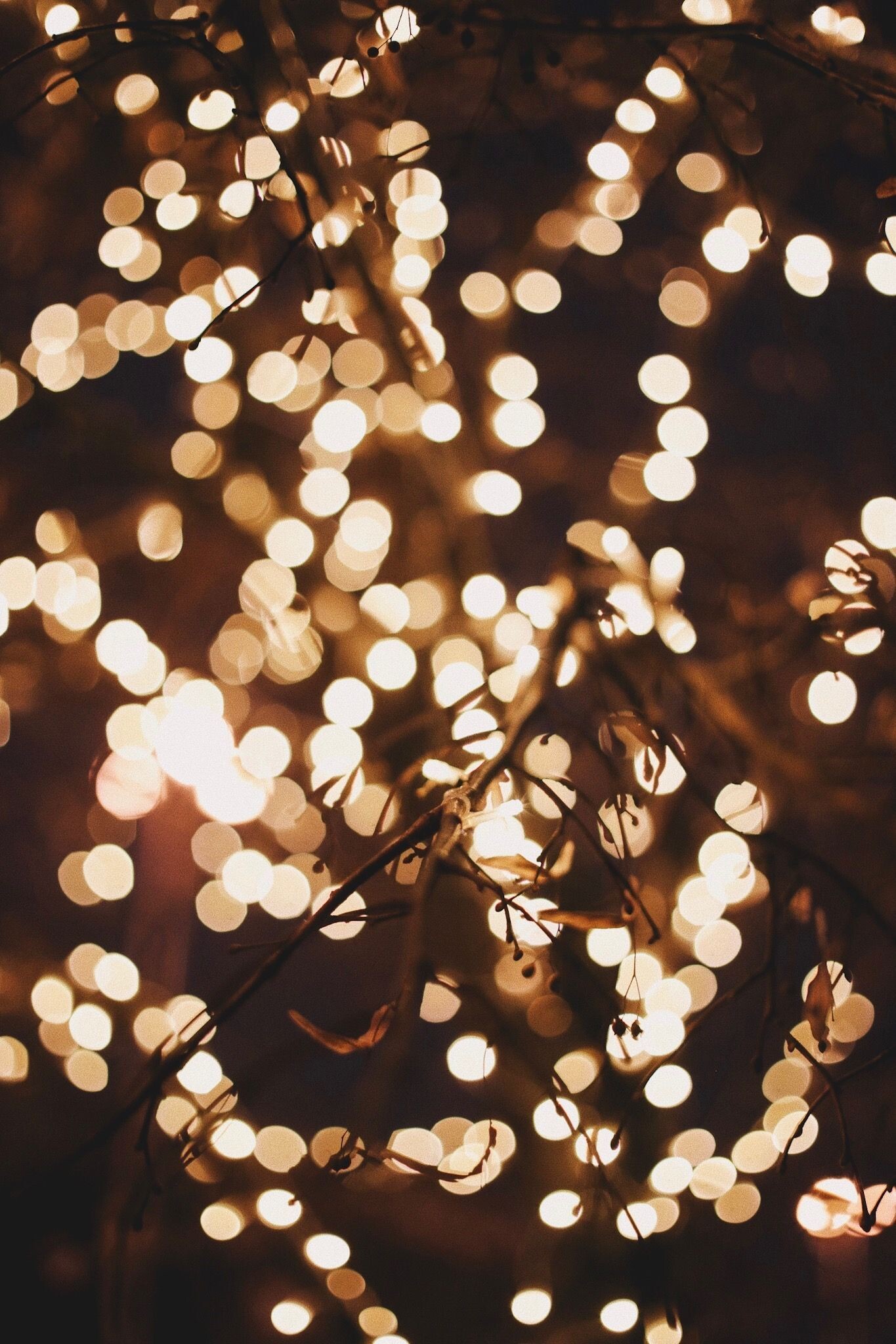 Gold Lights: Christmas lights, Sparkling golden bubbles, Out-of-focus blurred lights. 1370x2050 HD Wallpaper.