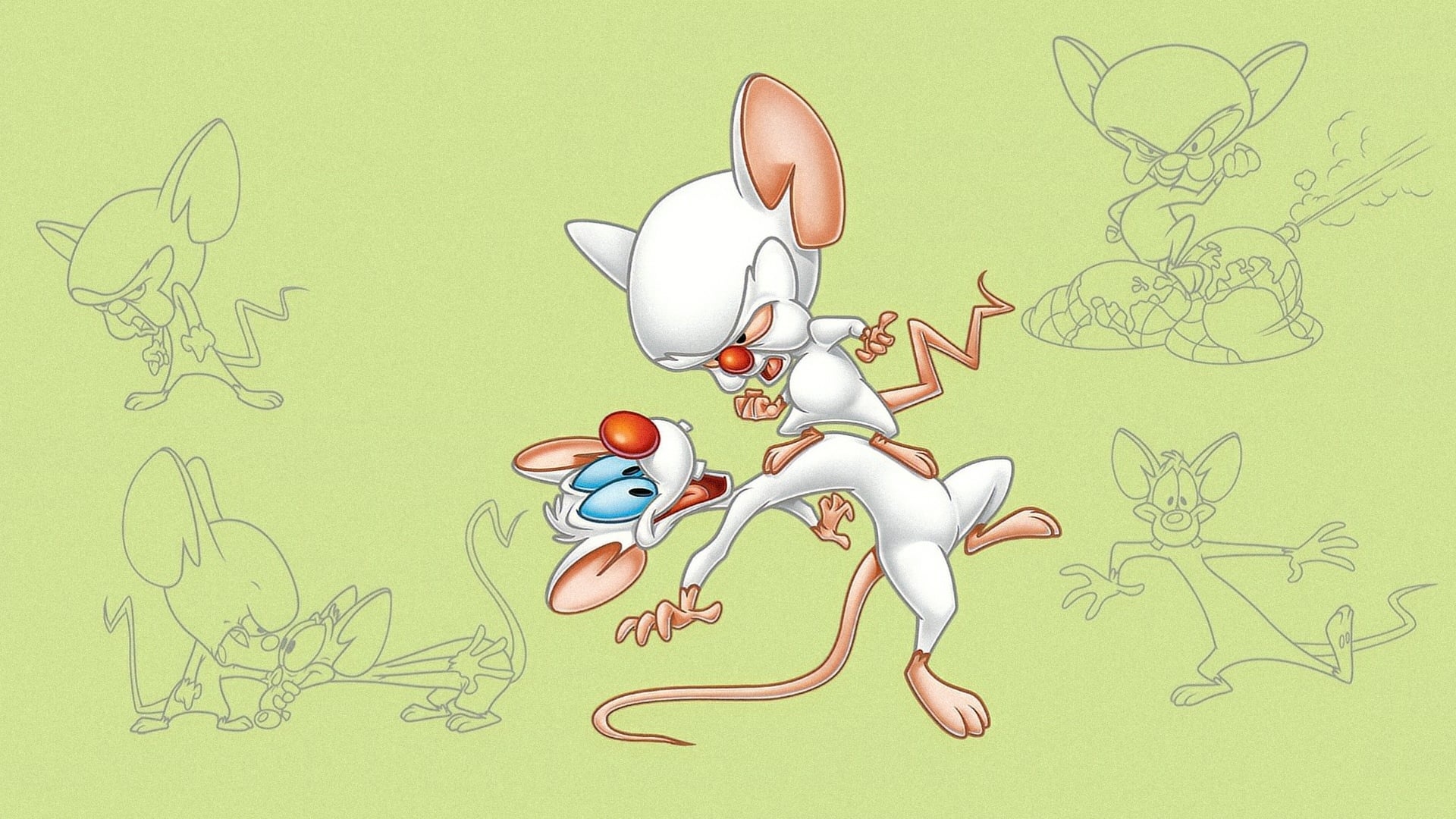 Pinky and the Brain Animation, Classic cartoon, Zany characters, Memorable moments, 1920x1080 Full HD Desktop