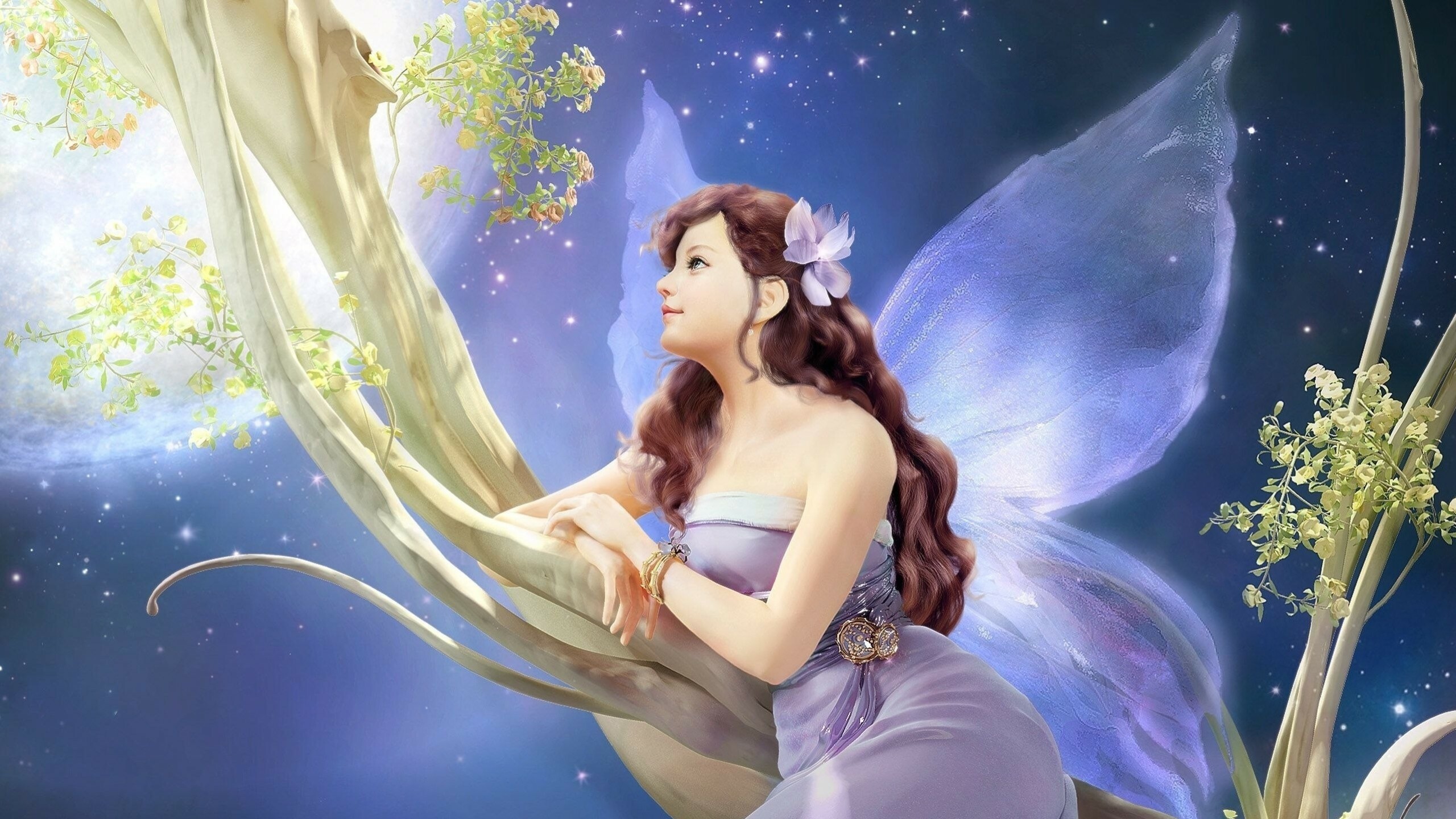 Fairy: Beautiful, feminine-looking fay, The wings of a butterfly. 2560x1440 HD Background.