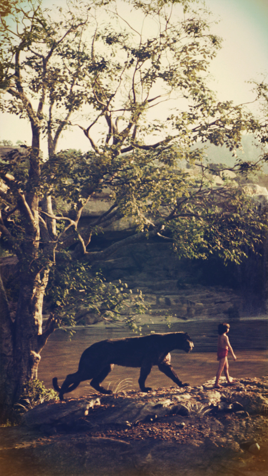 The Jungle Book movie, Inspiring wallpapers, Lively jungle, Breathtaking beauty, 1080x1920 Full HD Handy