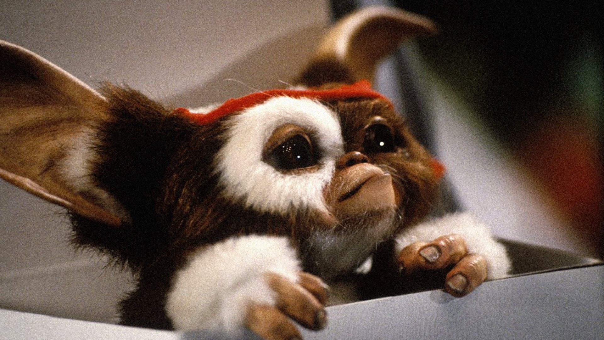 Gremlin Gizmo: Was created on an extraterrestrial planet by a placid scientist named Mogturmen. 1920x1080 Full HD Wallpaper.