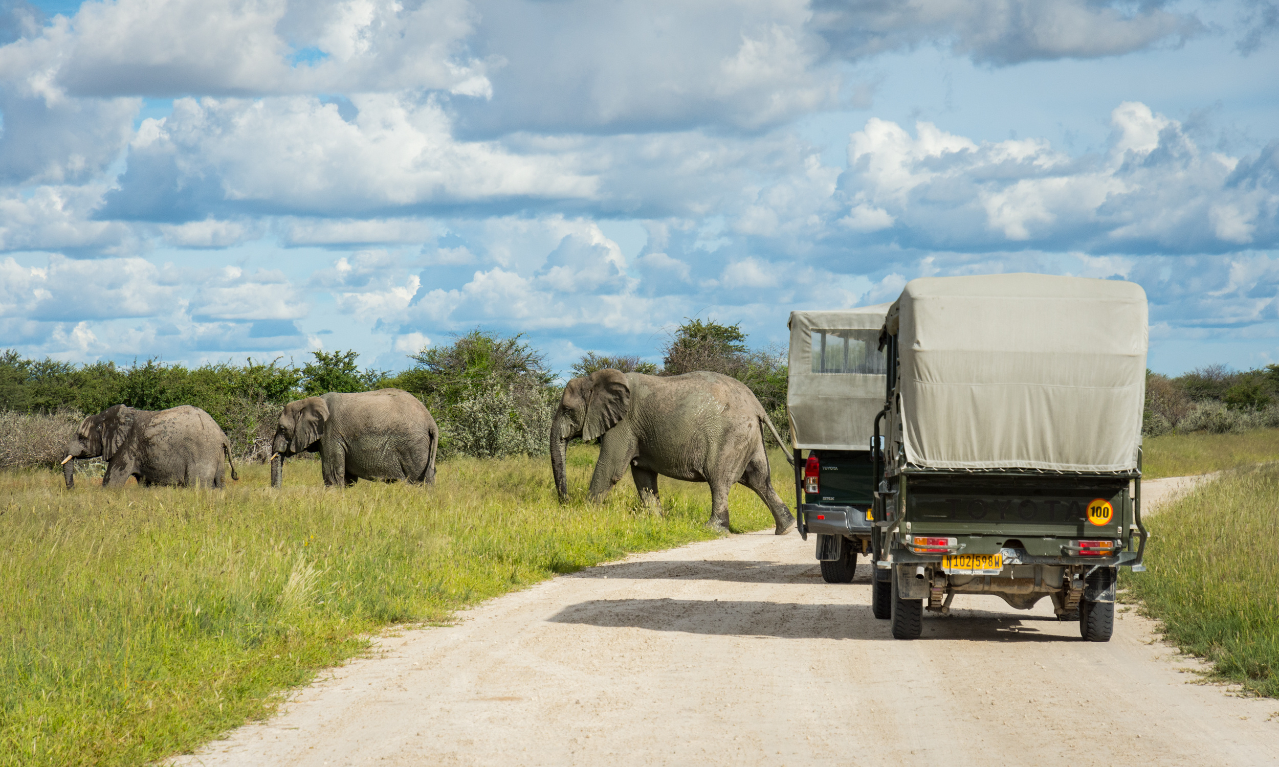 Etosha National Park, Self-drive safari, Namibia, Wandering Wheatleys, 2500x1500 HD Desktop