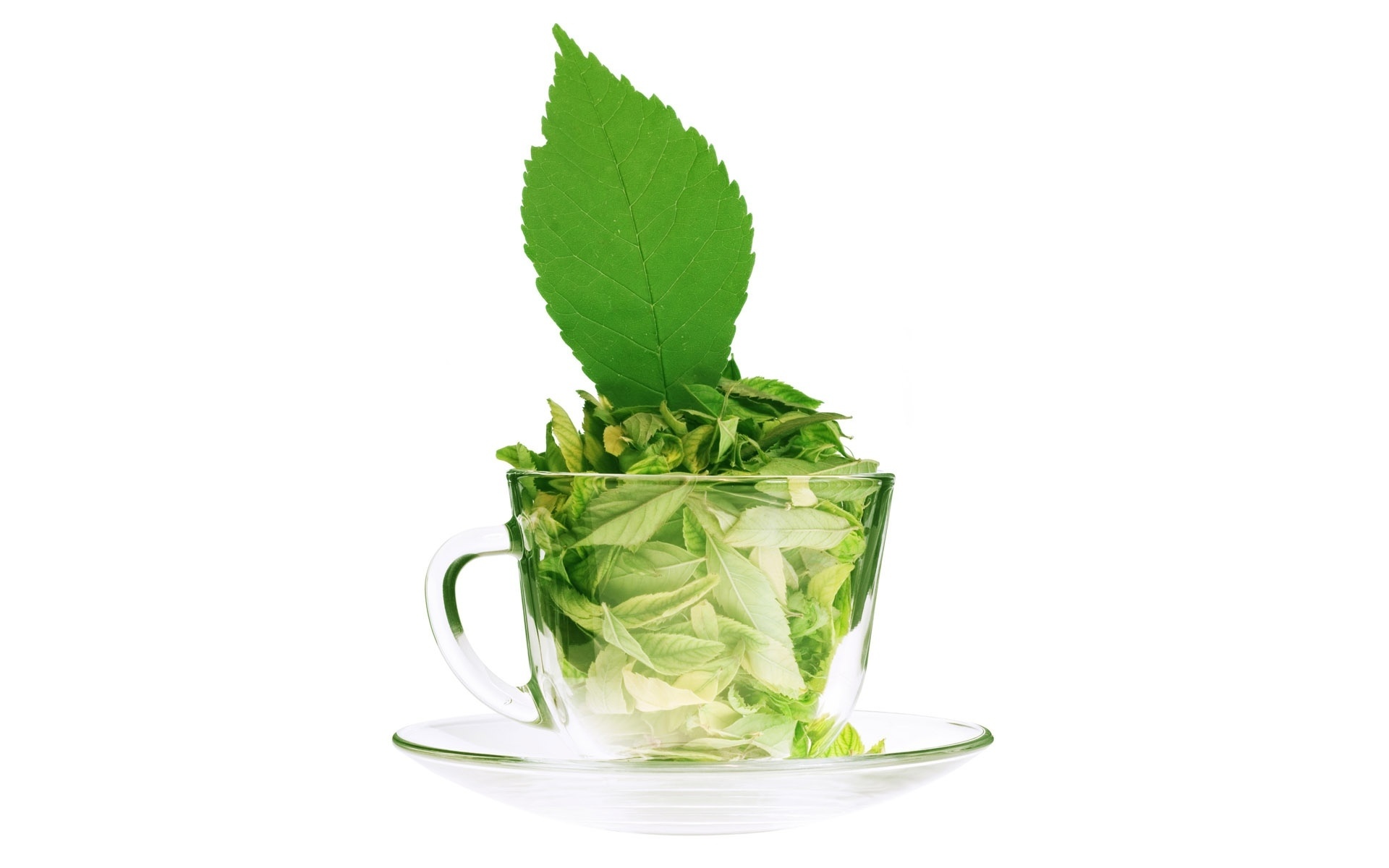Mint Plant, Herbal cocktail, Flowering plant, Mojito mix, 1920x1200 HD Desktop