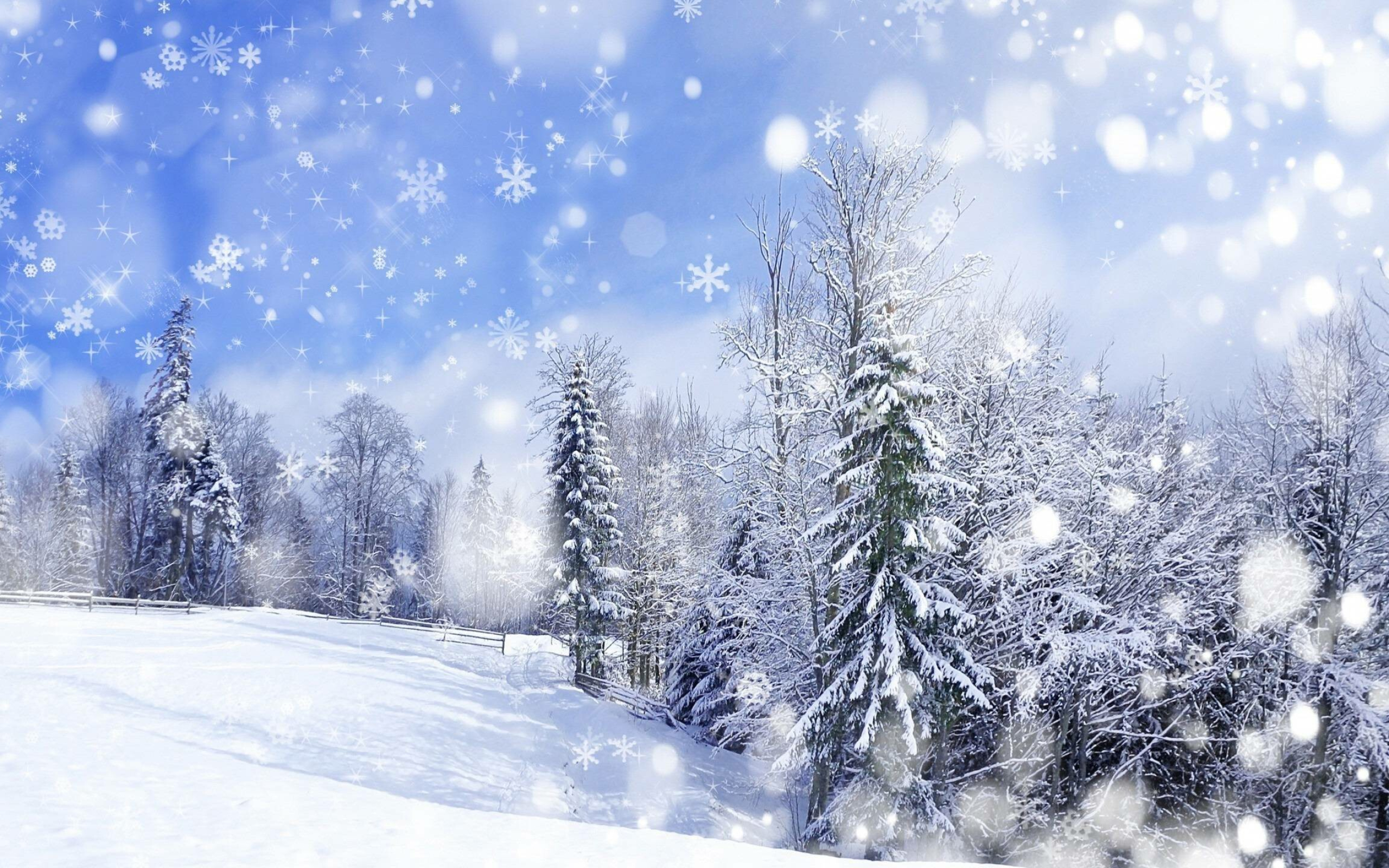 Snowfall: Precipitation of crystallized water from the clouds, Winter. 2560x1600 HD Wallpaper.