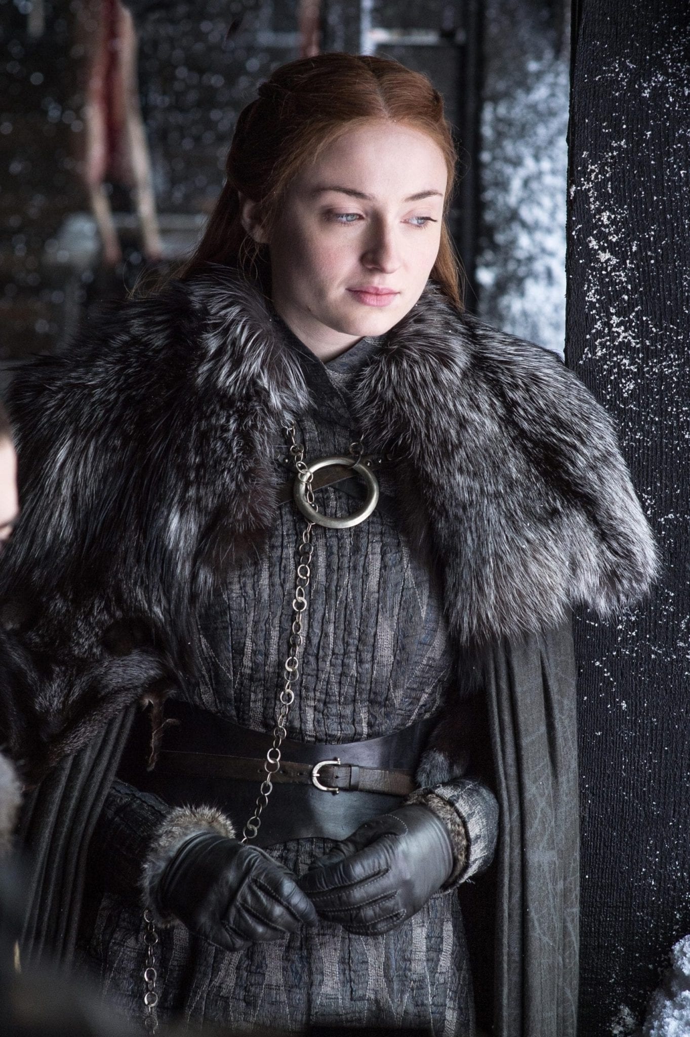 Sansa Stark, Sexist, Stereotypical Patterns, 1370x2050 HD Handy