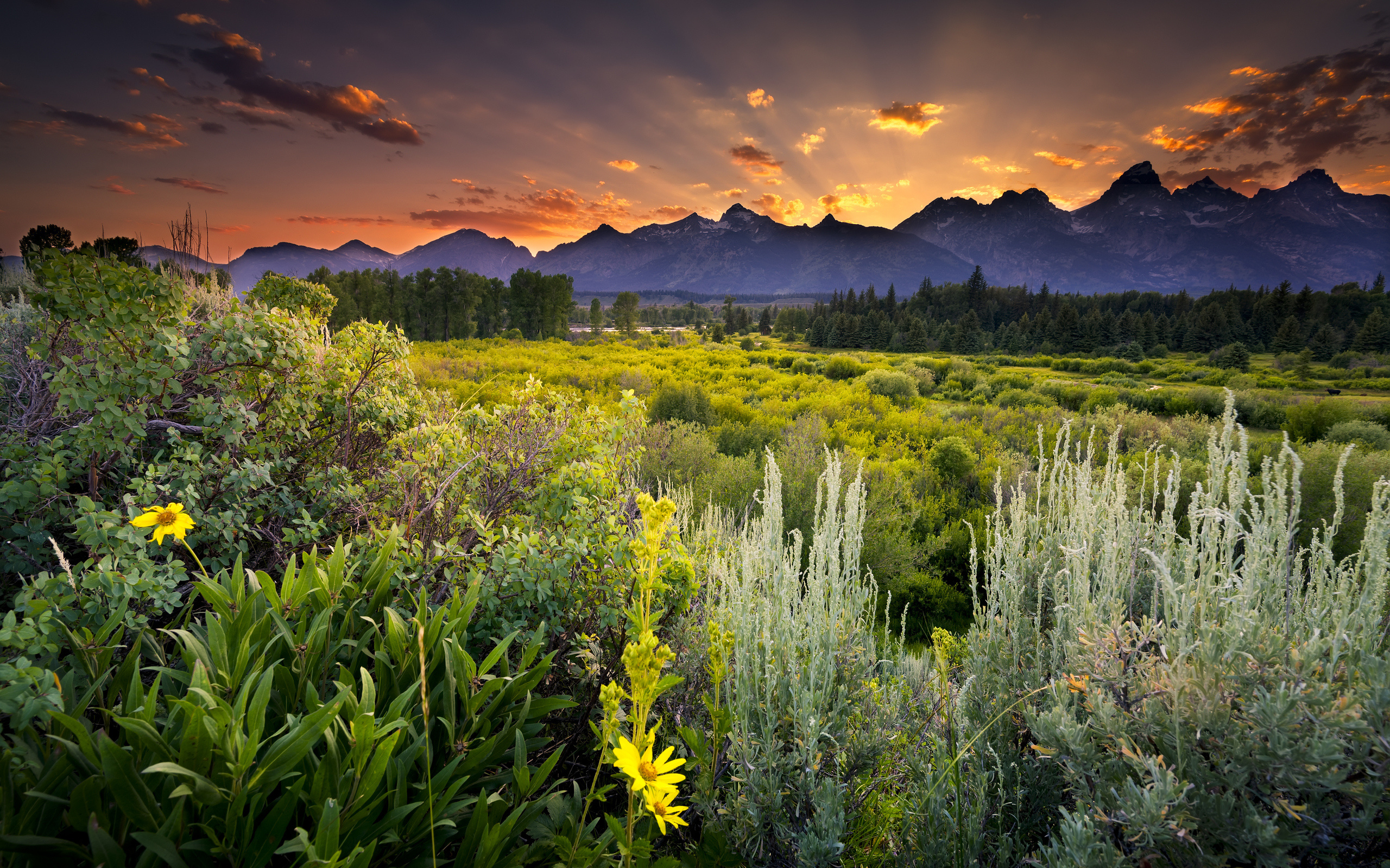 Grand Teton National Park, 4K Ultra HD wallpaper, 2560x1600 HD Desktop