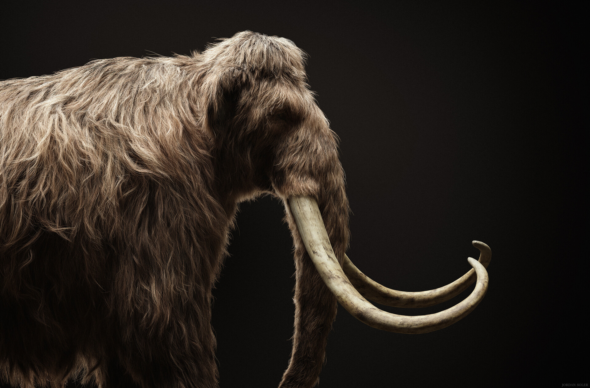 ArtStation mammoth, Mammoth artwork, Mammoth illustration, Mammoth digital art, 1920x1270 HD Desktop