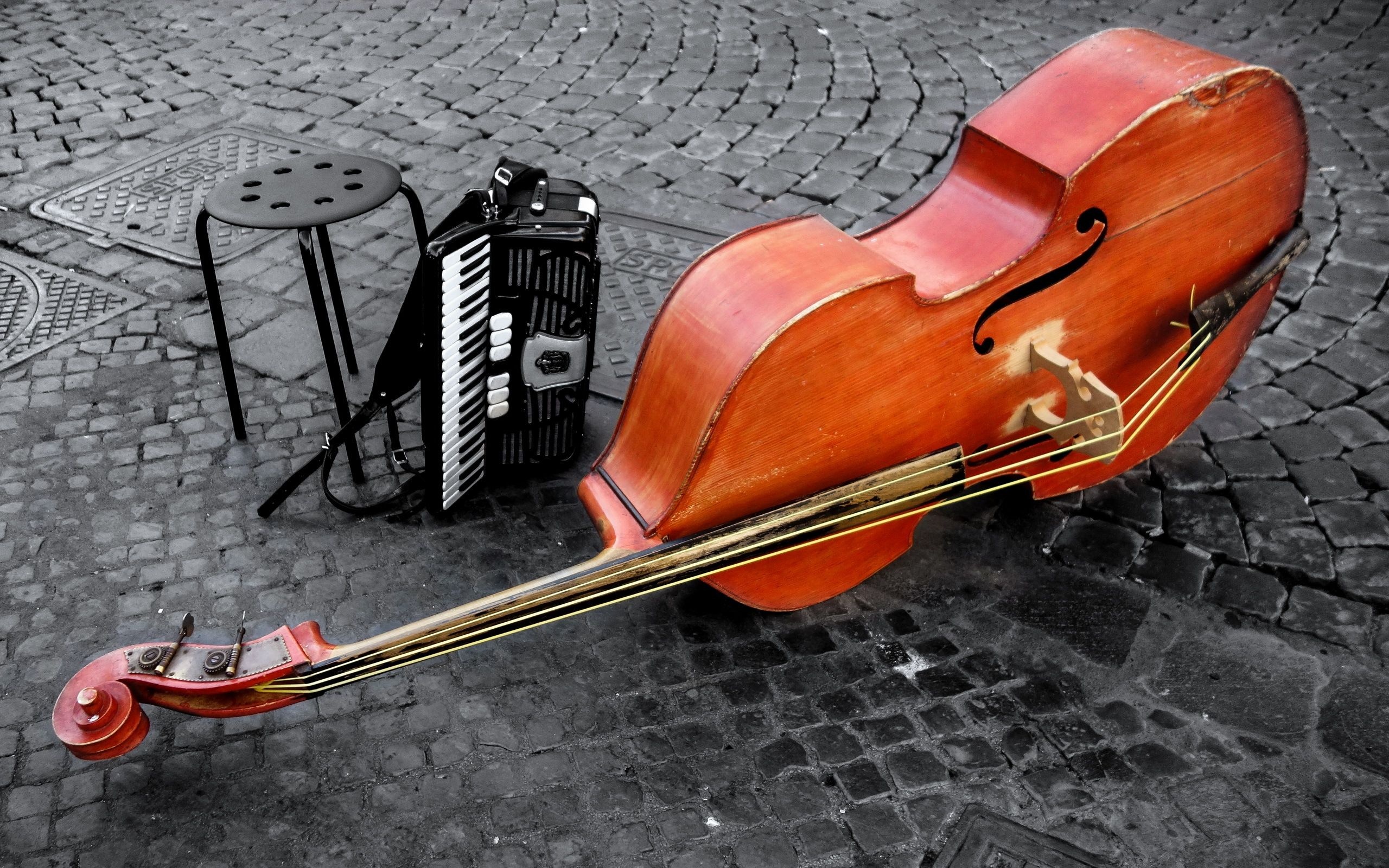 Double Bass: Wooden Chordophone, Aerophone, Streets Music Band. 2560x1600 HD Background.