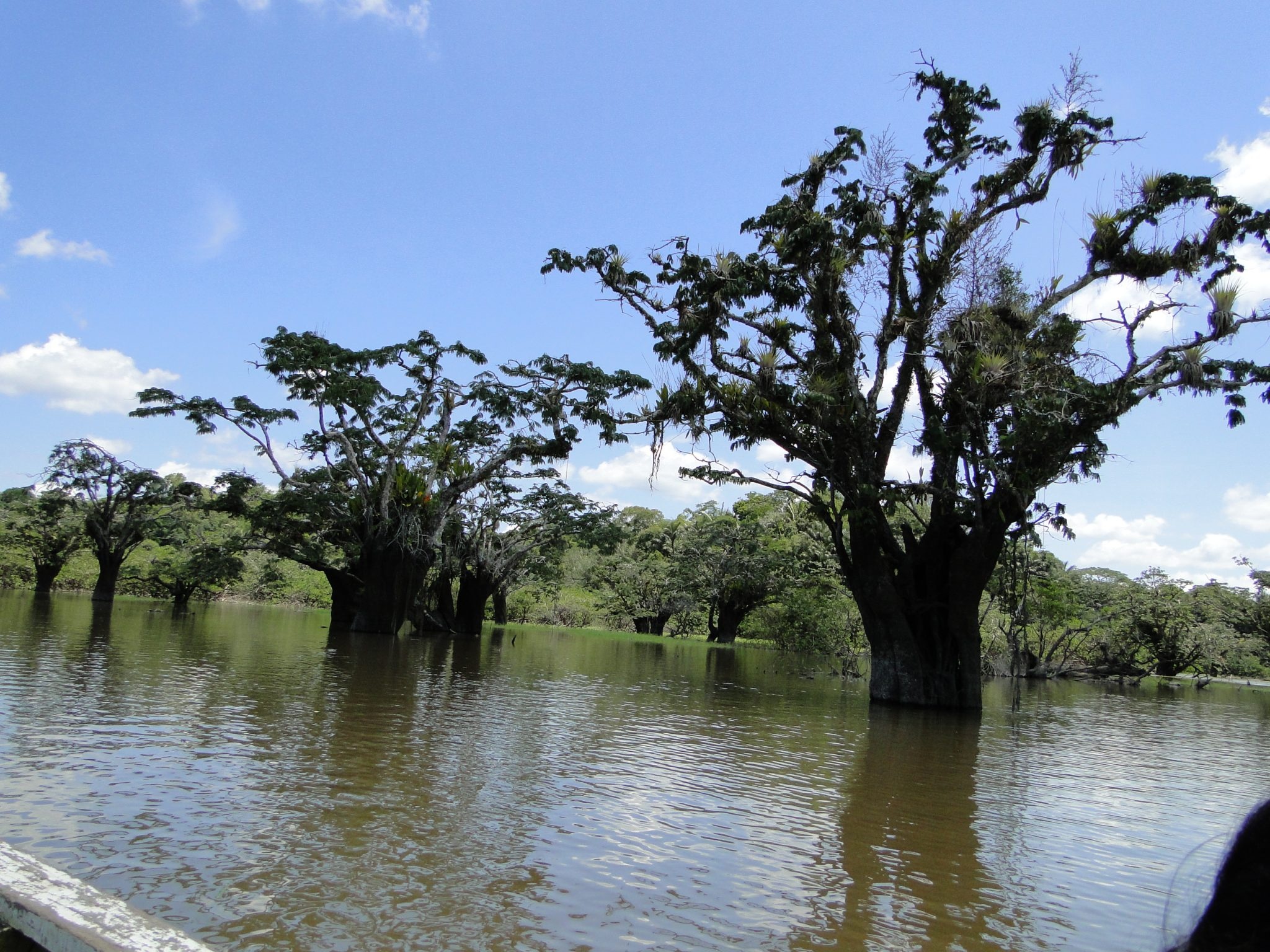 Cuyabeno National Park, Exciting tours, Amazon adventure, Eco-friendly exploration, 2050x1540 HD Desktop