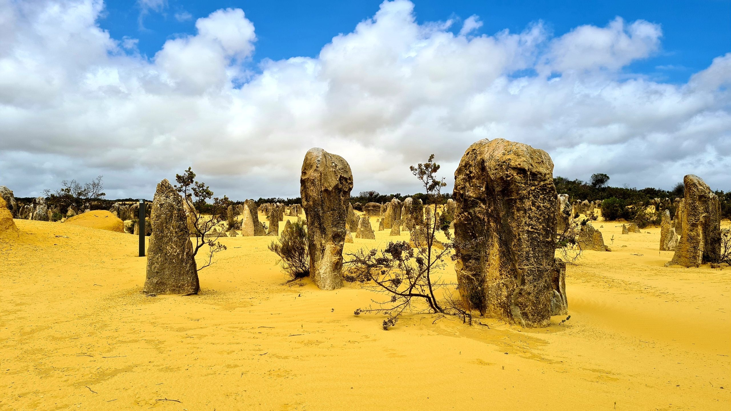 Nambung National Park, Things to do in Cervantes, Nature exploration, Western Australia, 2560x1440 HD Desktop
