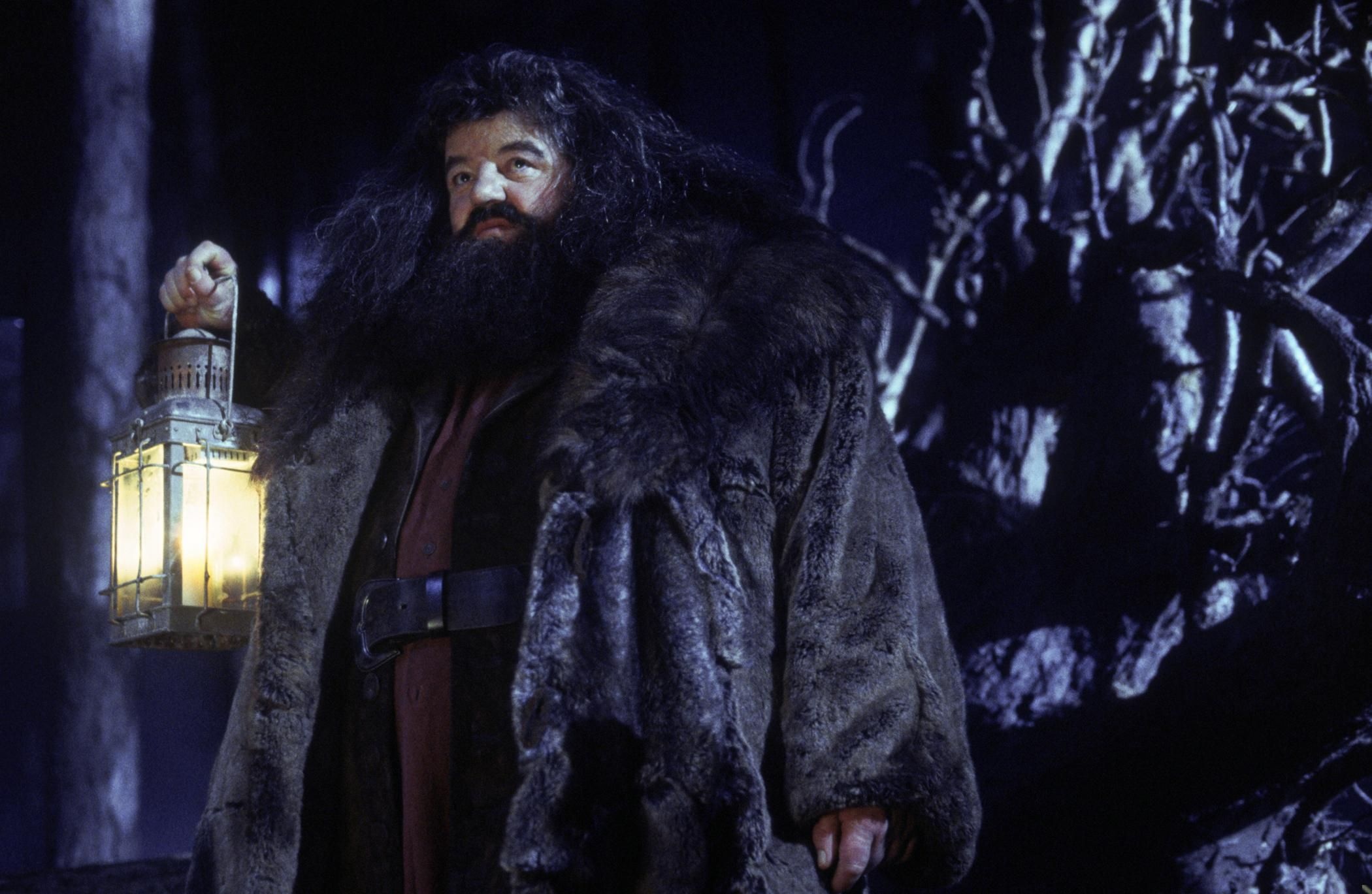 Hagrid movie, Sorcerer's Stone, Photo gallery, Movie stills, 2100x1370 HD Desktop