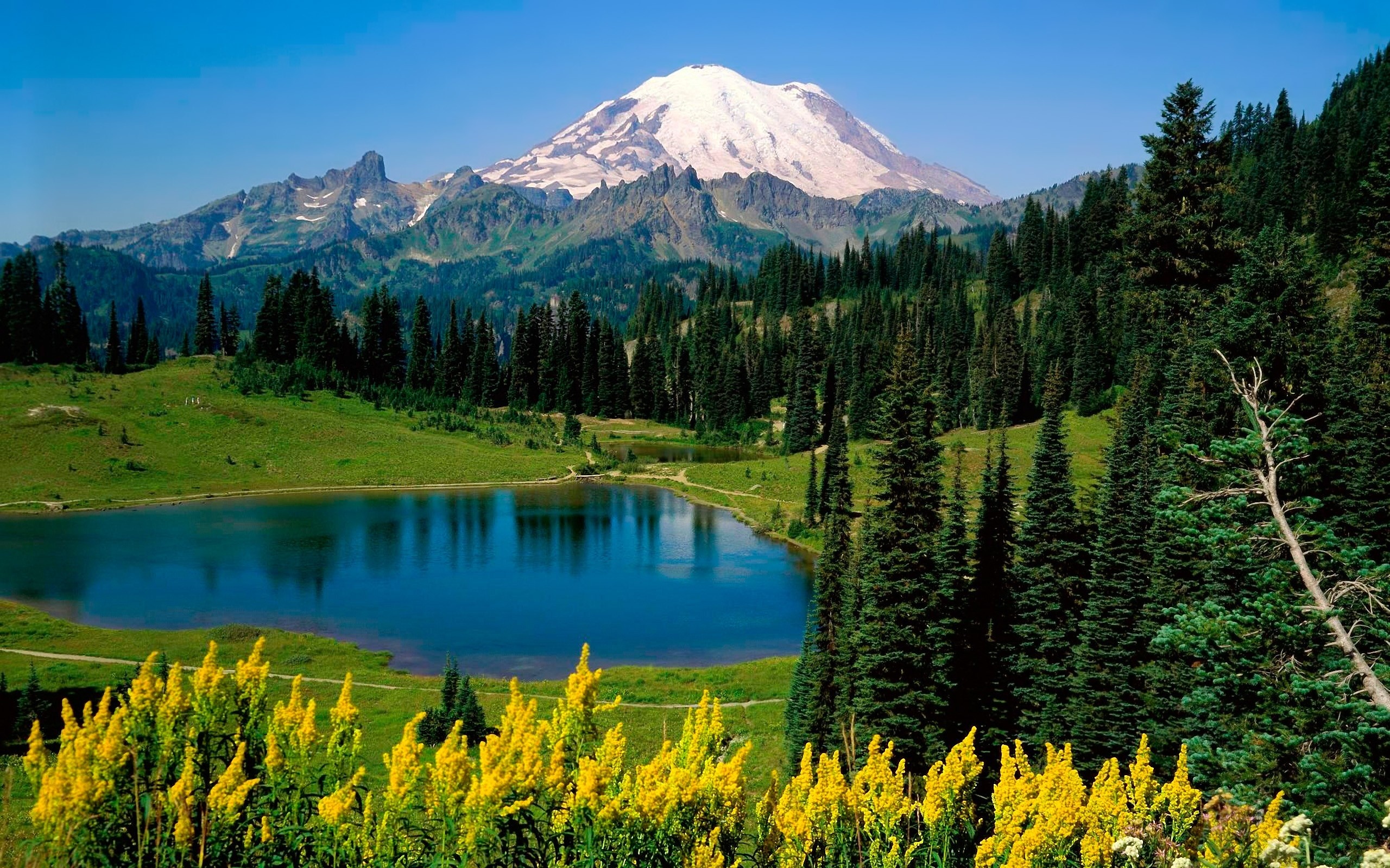Mount Rainier, National Park, Nature, Landscape, 2560x1600 HD Desktop
