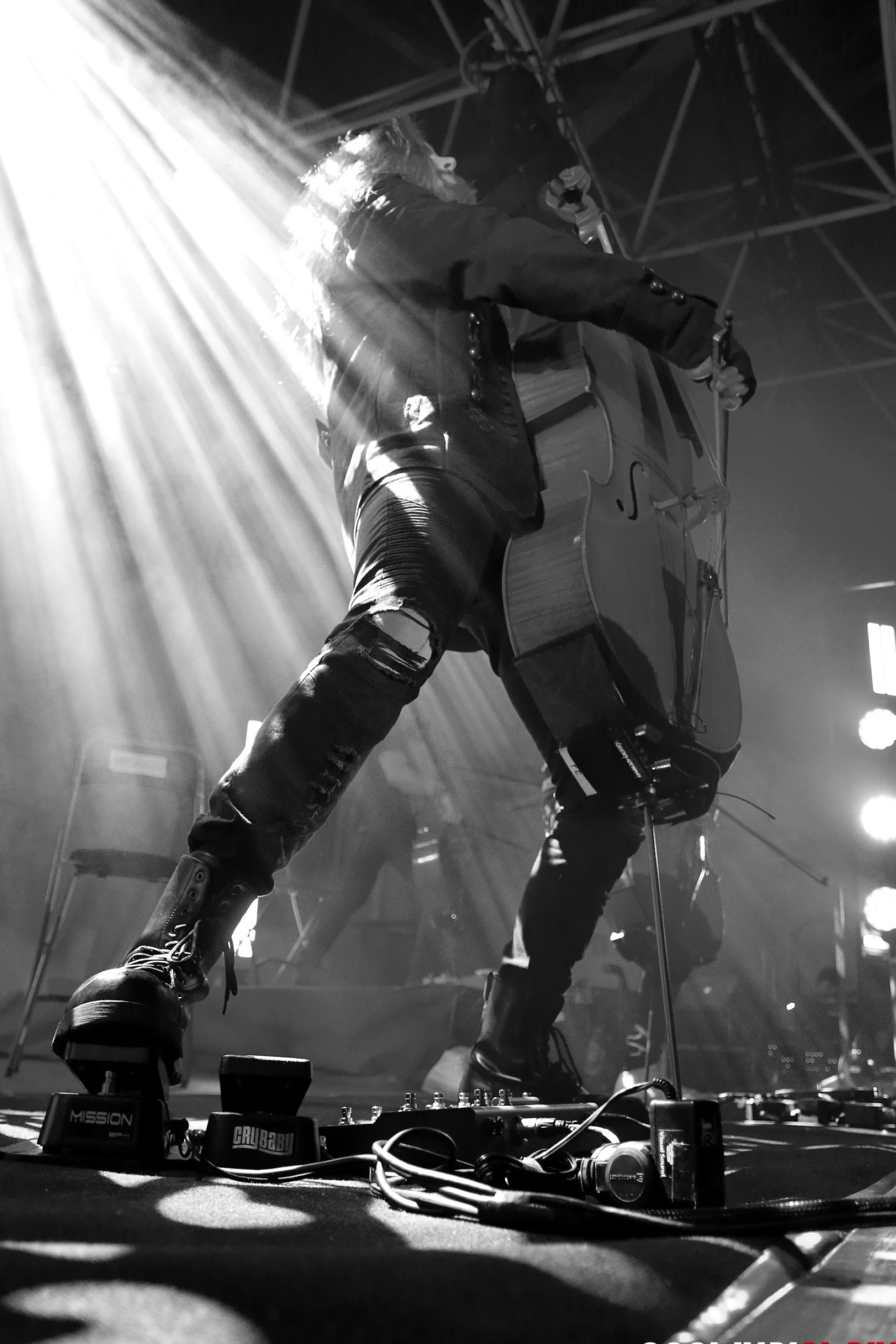 Apocalyptica exclusive show, Dsseldorf concert, Exclusive photos, 1710x2560 HD Handy