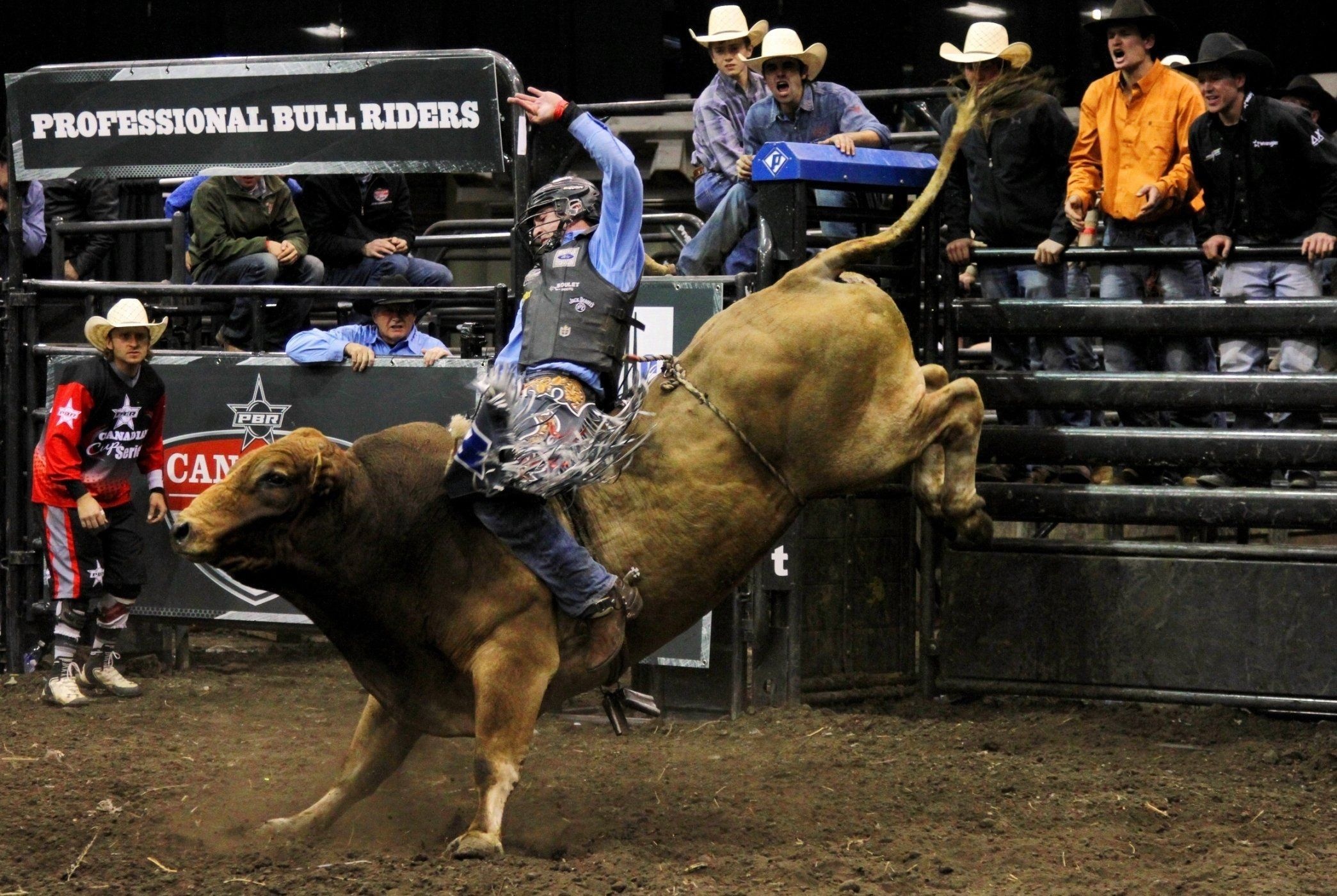 Bullriding: Rodeo, A bull tries to buck off the rider, Extreme and deathful sport, Horns. 2090x1400 HD Background.