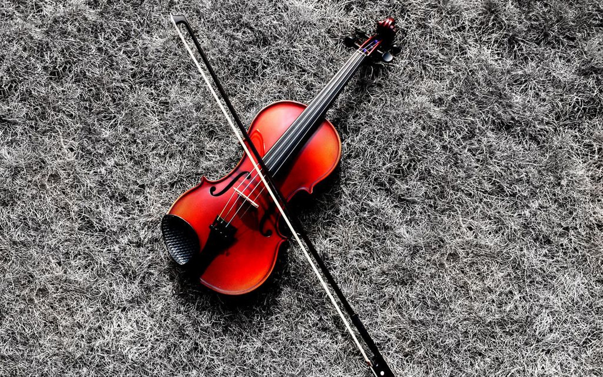 Violin: Modern Acoustic Fiddle, TED Conferences, American-Canadian Media Organization. 1920x1200 HD Background.