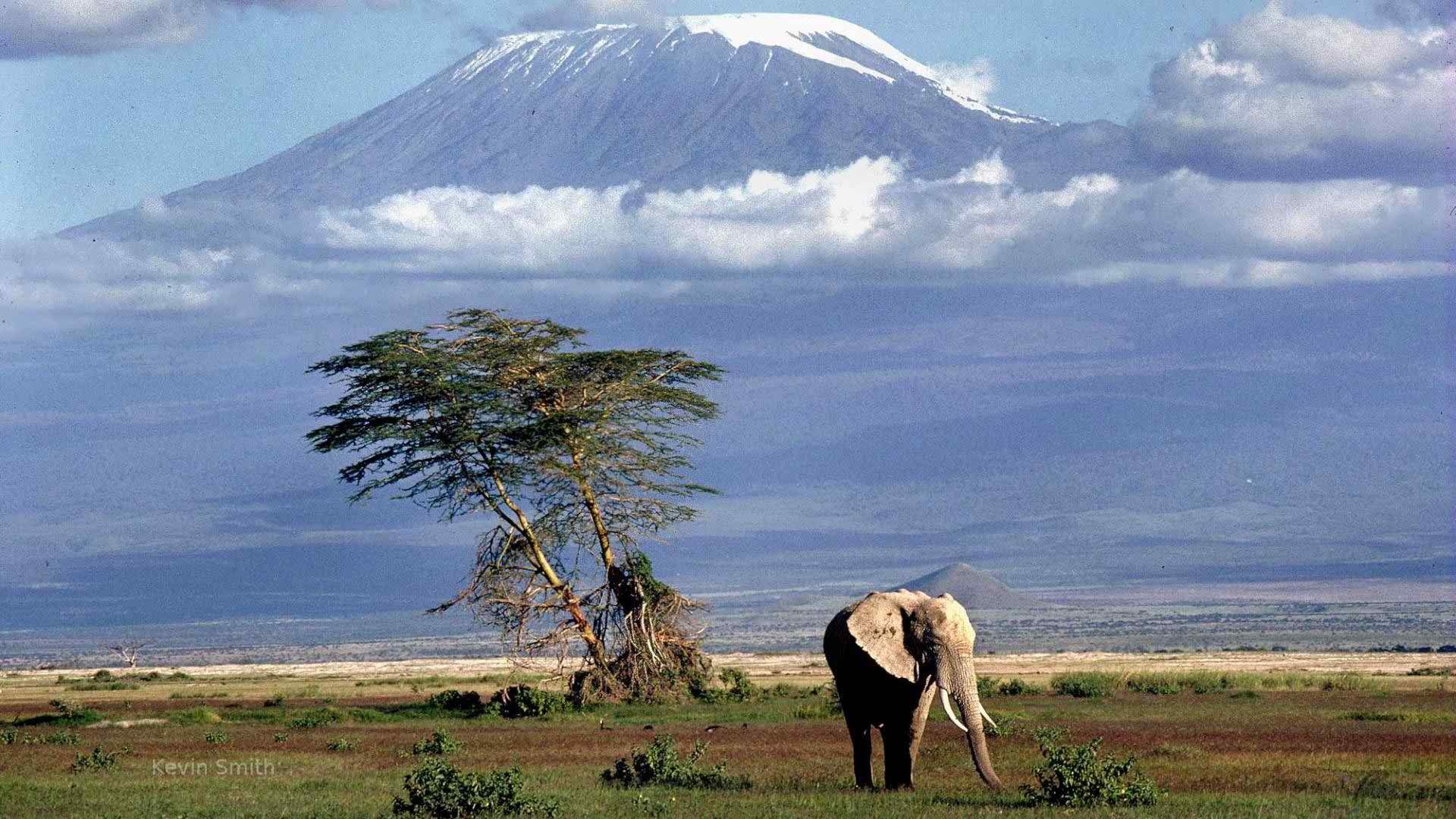 Tanzania, Stunning wallpapers, Breathtaking landscapes, African beauty, 1920x1080 Full HD Desktop