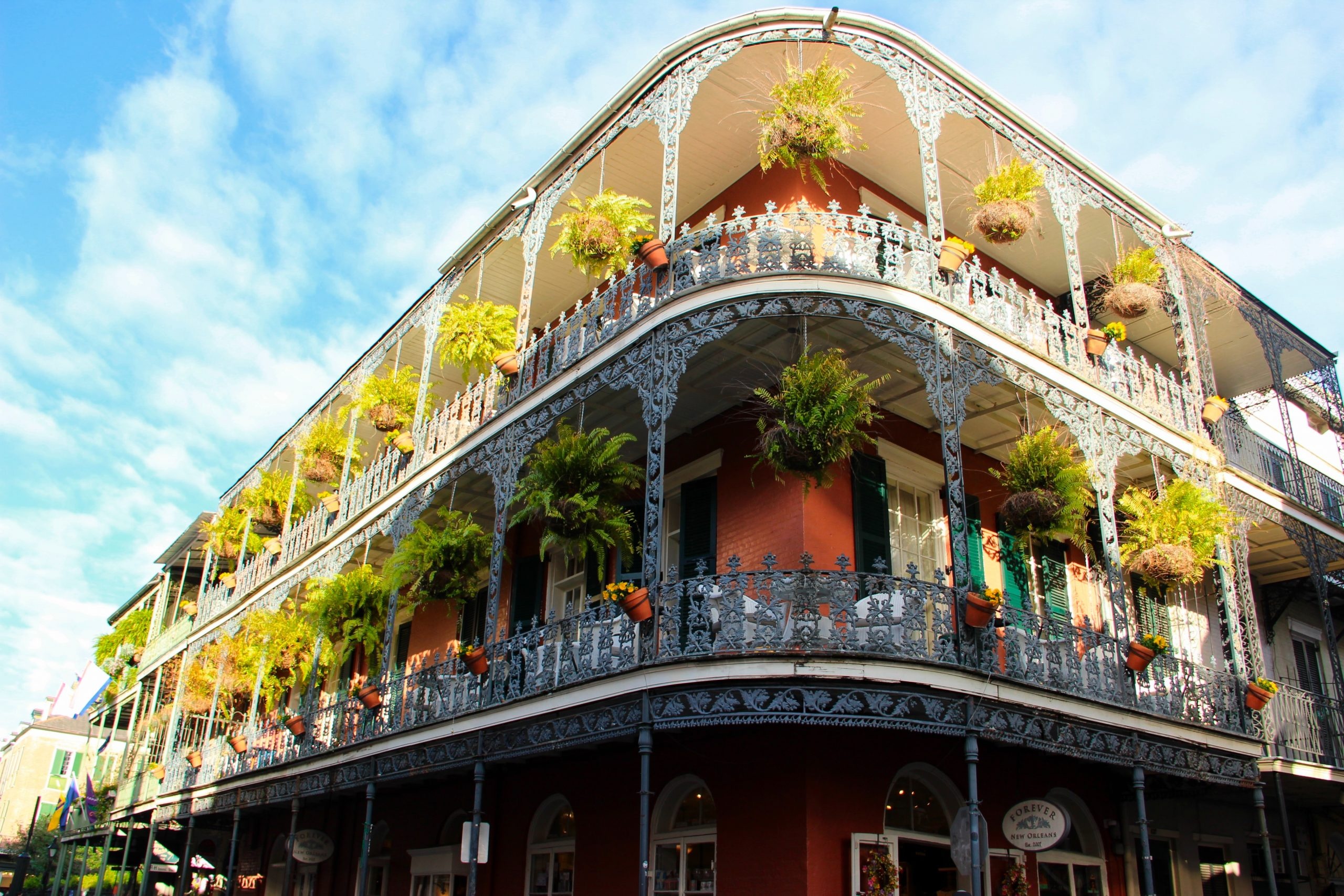 New Orleans travels, First-timers guide, Insider tips, Madame Blue, 2560x1710 HD Desktop