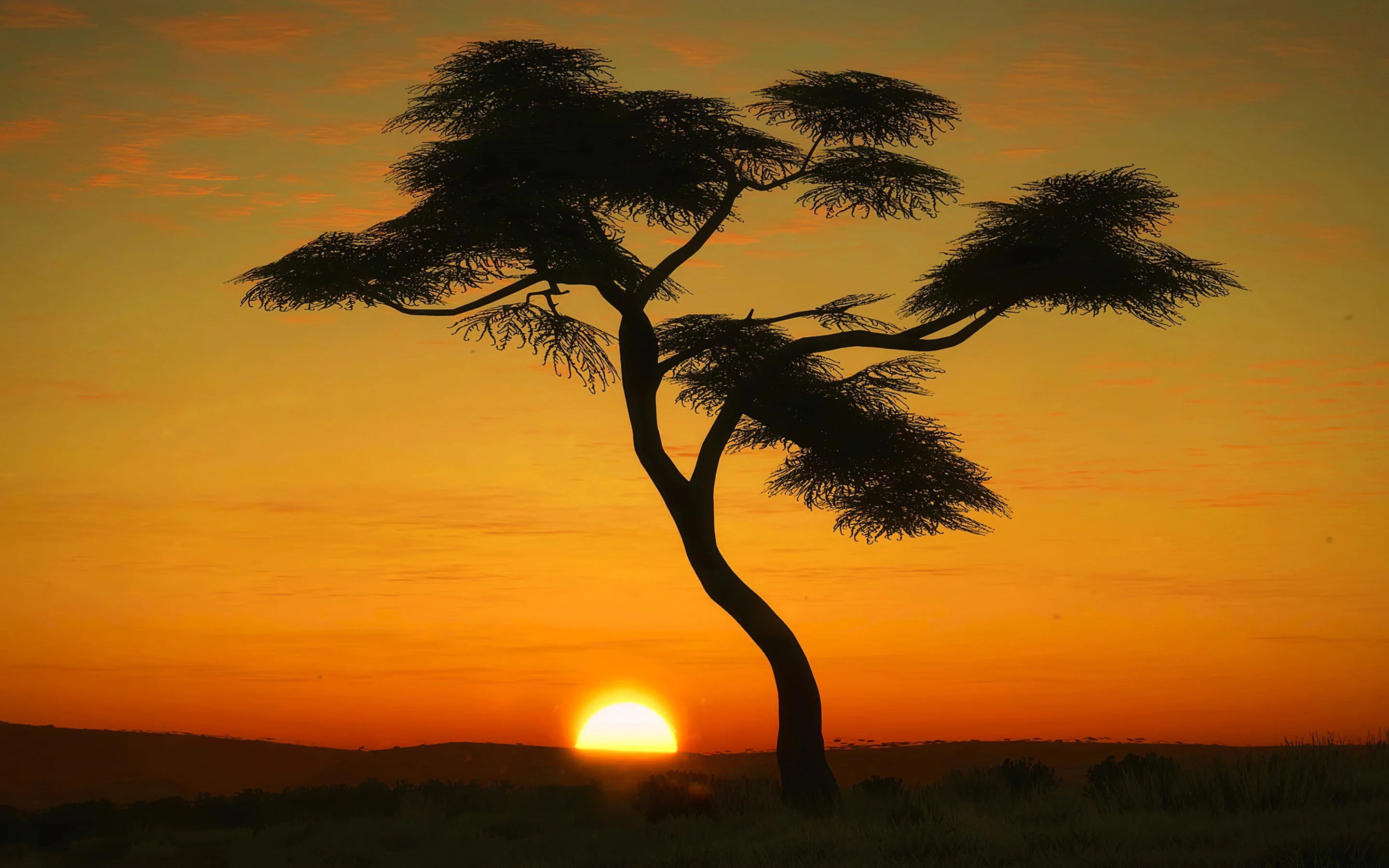 Wunderschöne Masai Mara Landschaft, 2880x1800 HD Desktop