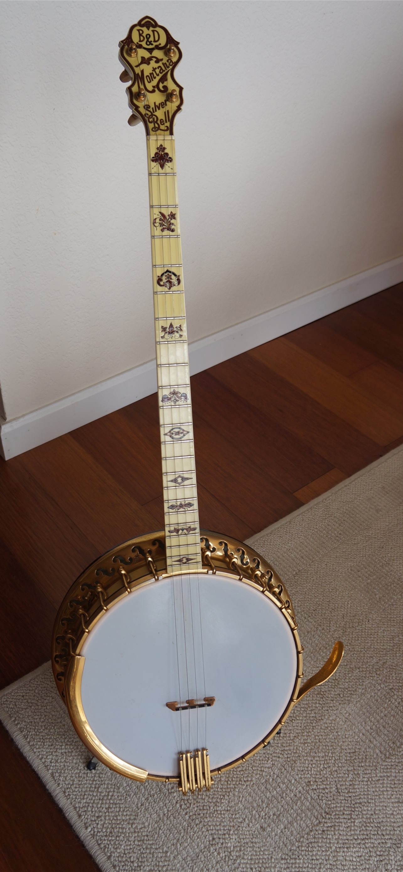 Banjo: An instrument with resonator body round-shaped deck in the form of a plastic diaphragm. 1290x2780 HD Background.