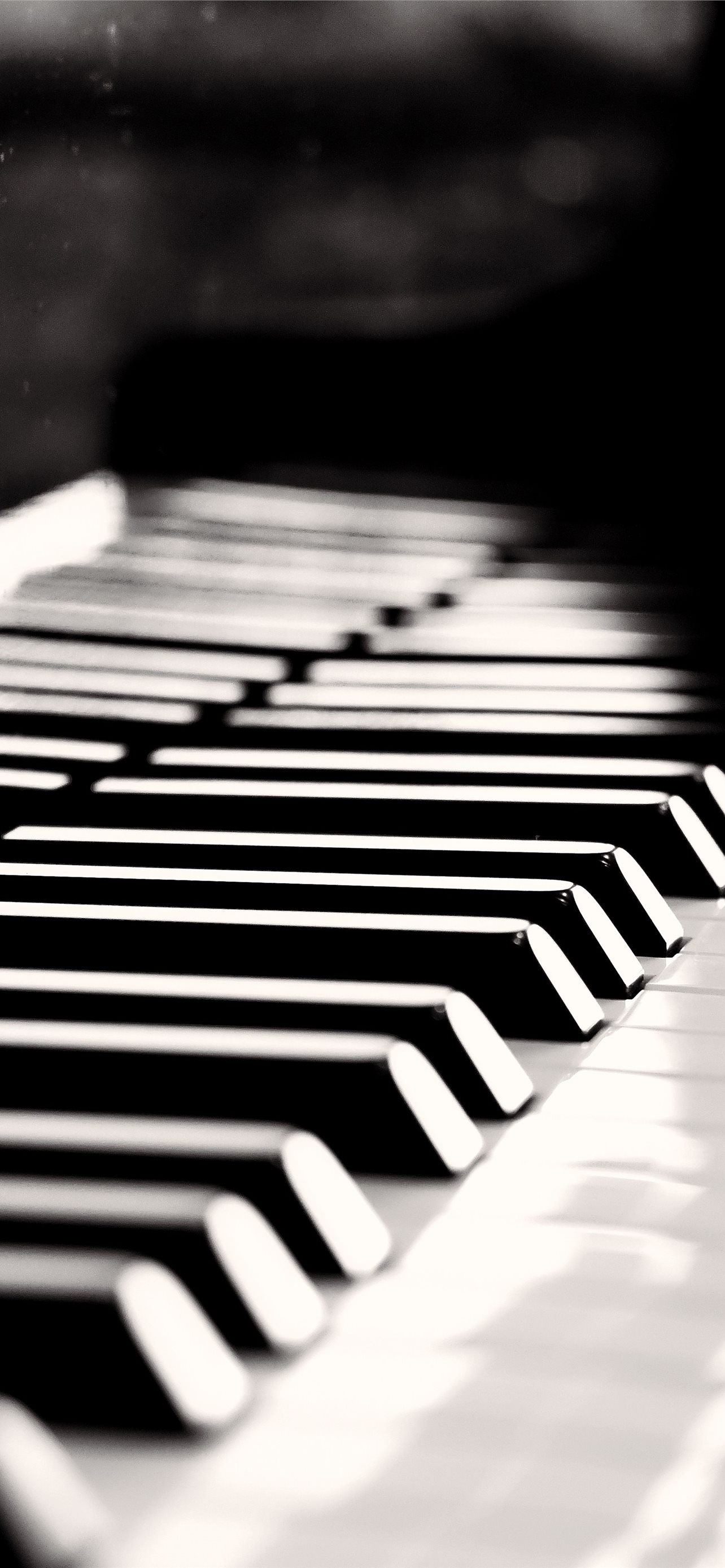 Grand Piano: A type of large musical instrument with its strings in a case parallel to the floor, used for concerts. 1290x2780 HD Wallpaper.