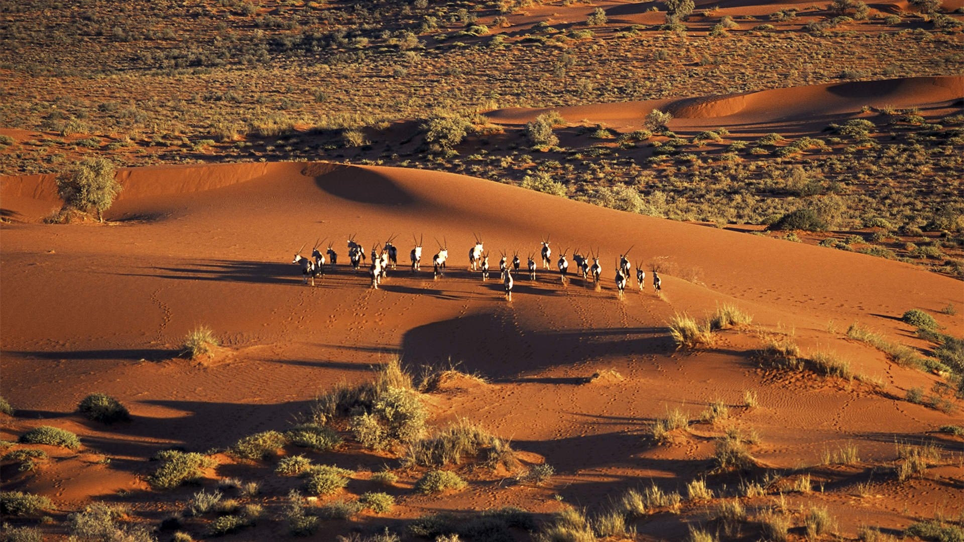 Kalahari Desert, Luxury tours, Botswana holidays, True travel, 1920x1080 Full HD Desktop