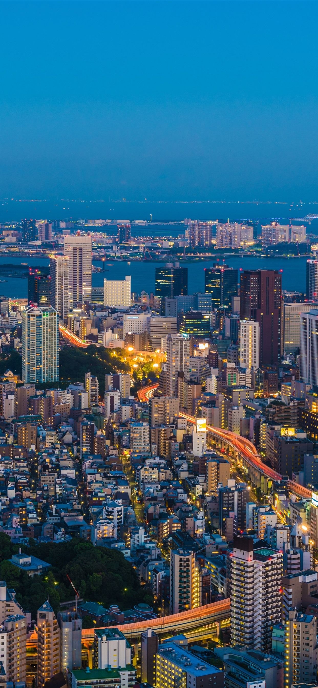 Japan Skyline, Tokyo iPhone wallpapers, Travels, Backgrounds, 1250x2690 HD Phone