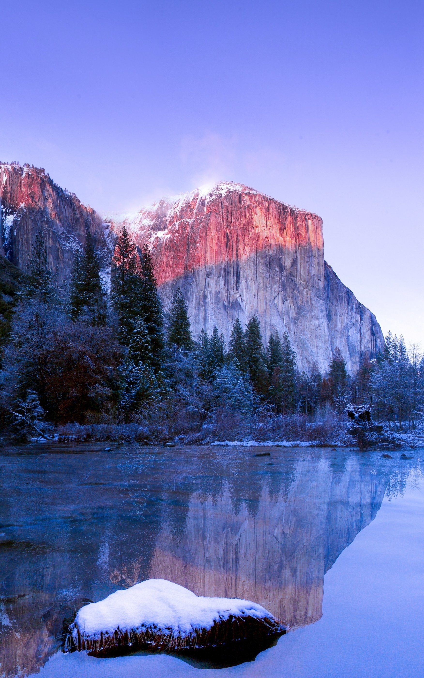 Yosemite National Park, Earth, National park, Nature, 1760x2800 HD Phone
