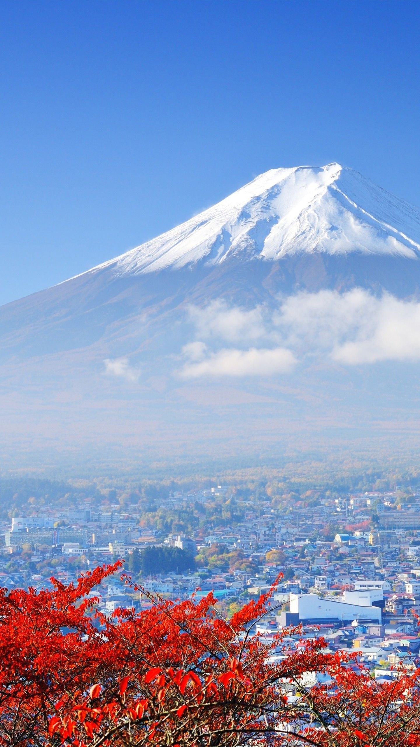 Mount Fuji, Travels, Japan, Land of the Rising Sun, 1440x2560 HD Phone