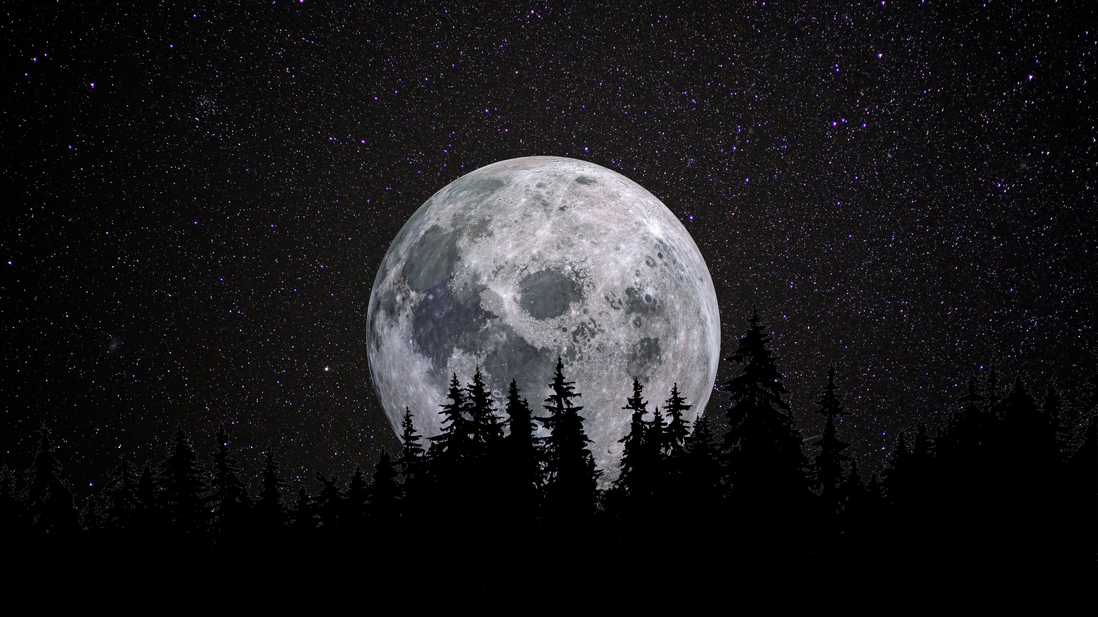Night sky, full moon wallpaper, enchanting forest, starry night, 3840x2160 4K Desktop