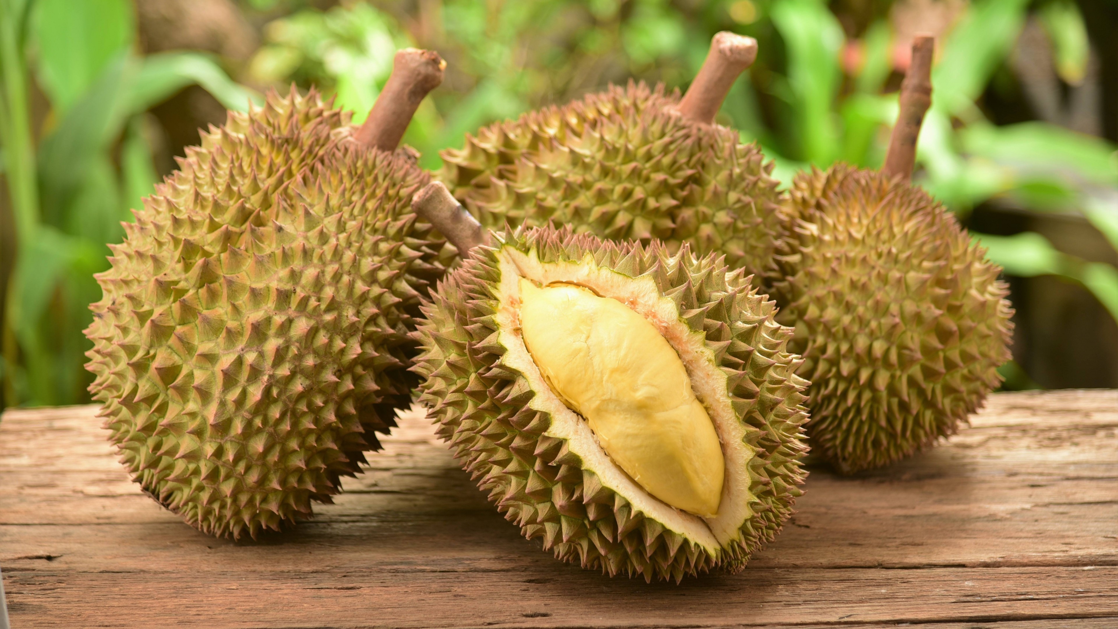 Durian: 30 recognized Durio species, nine of which produce edible fruit. 3840x2160 4K Background.
