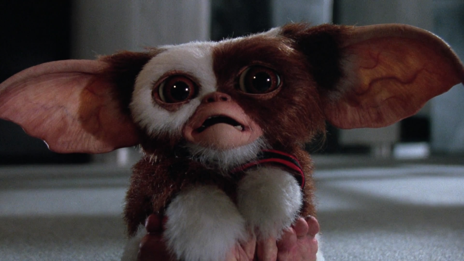 Gremlin Gizmo: Giz with a shotgun, Mogwai that as adept as the monsters are with weapons and electrical devices. 1920x1080 Full HD Background.