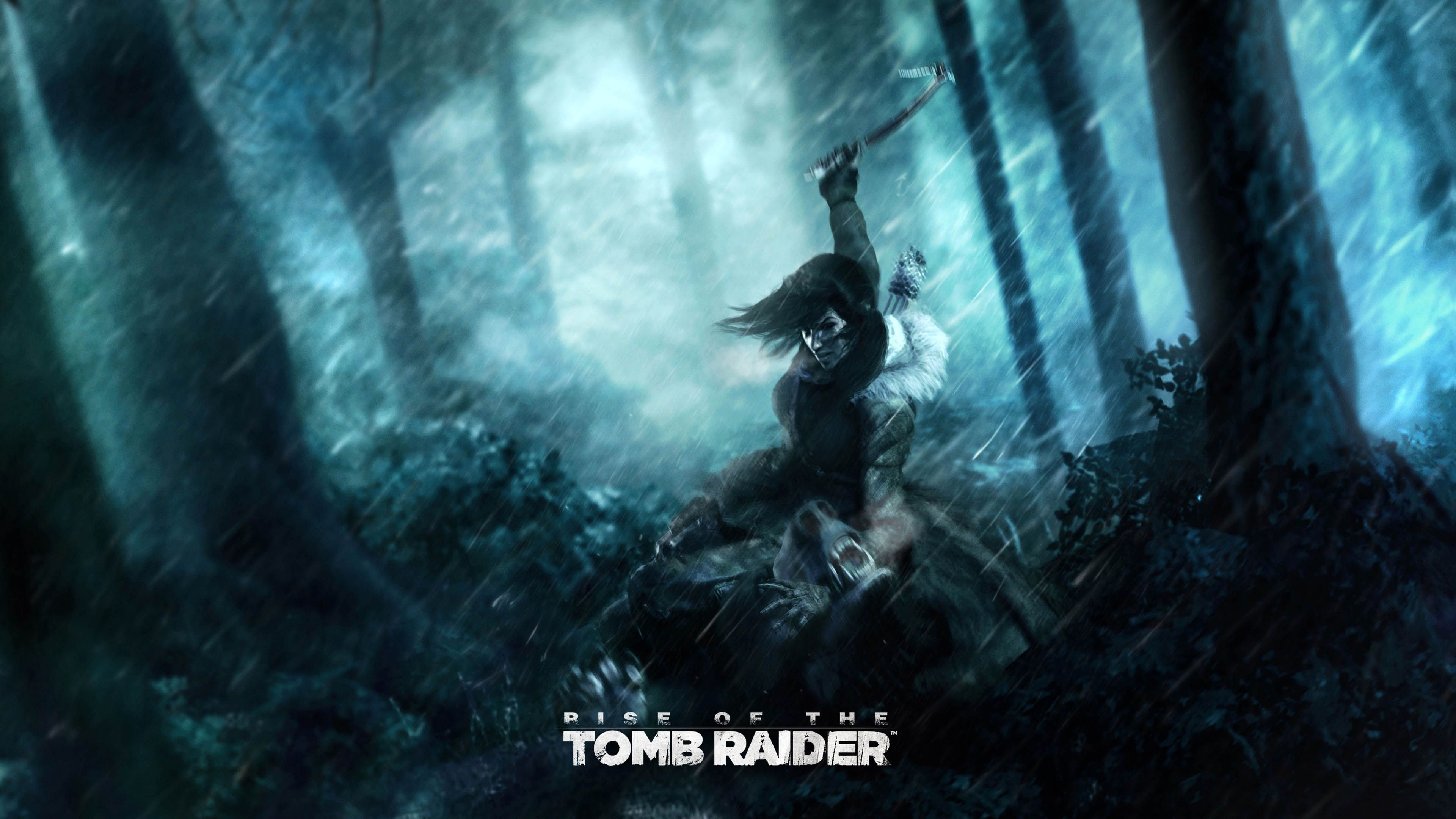 Detail, Lara Croft, Rise of the Tomb Raider, Game art, 3840x2160 4K Desktop