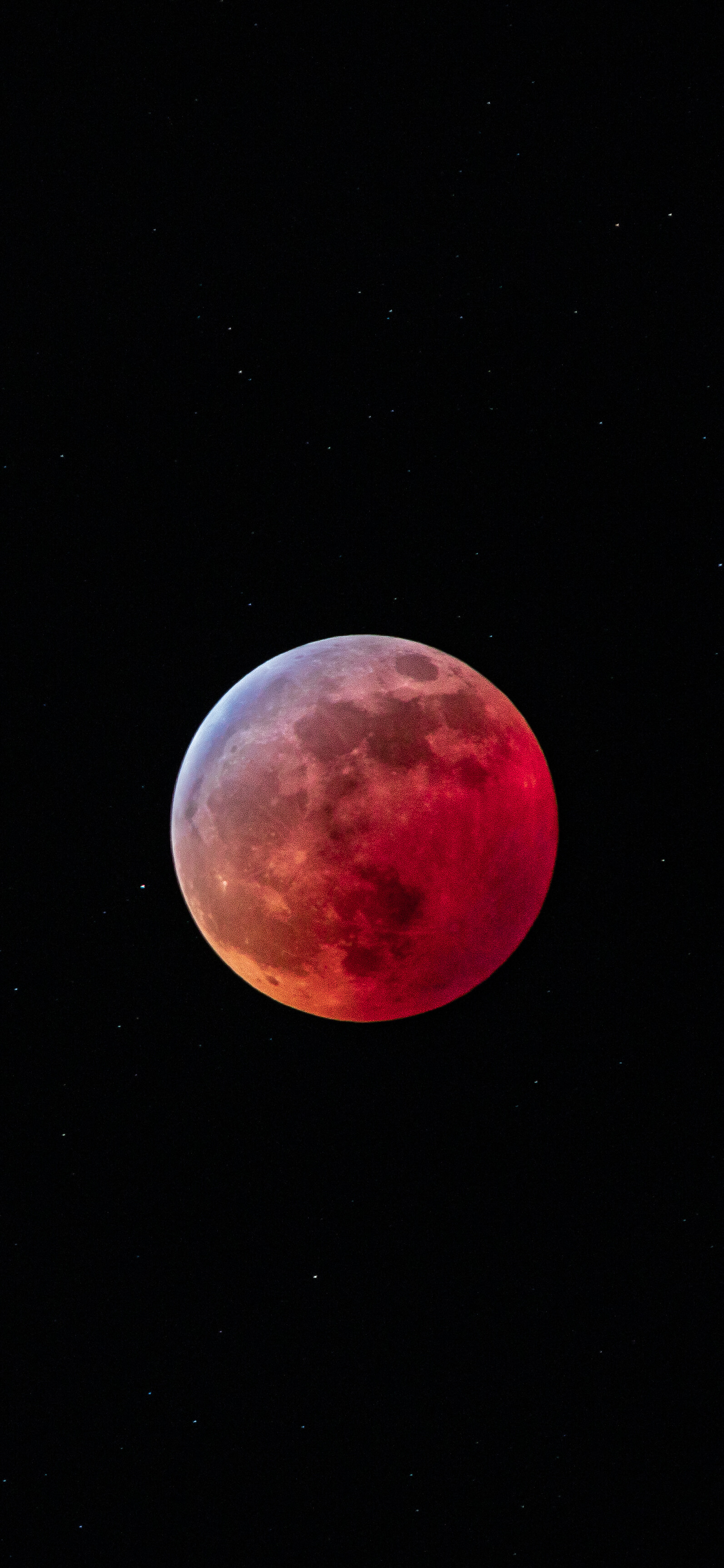 Stunning super blood wolf moon, Celestial spectacle, Night sky's wonder, Astronomical enchantment, 1600x3450 HD Phone