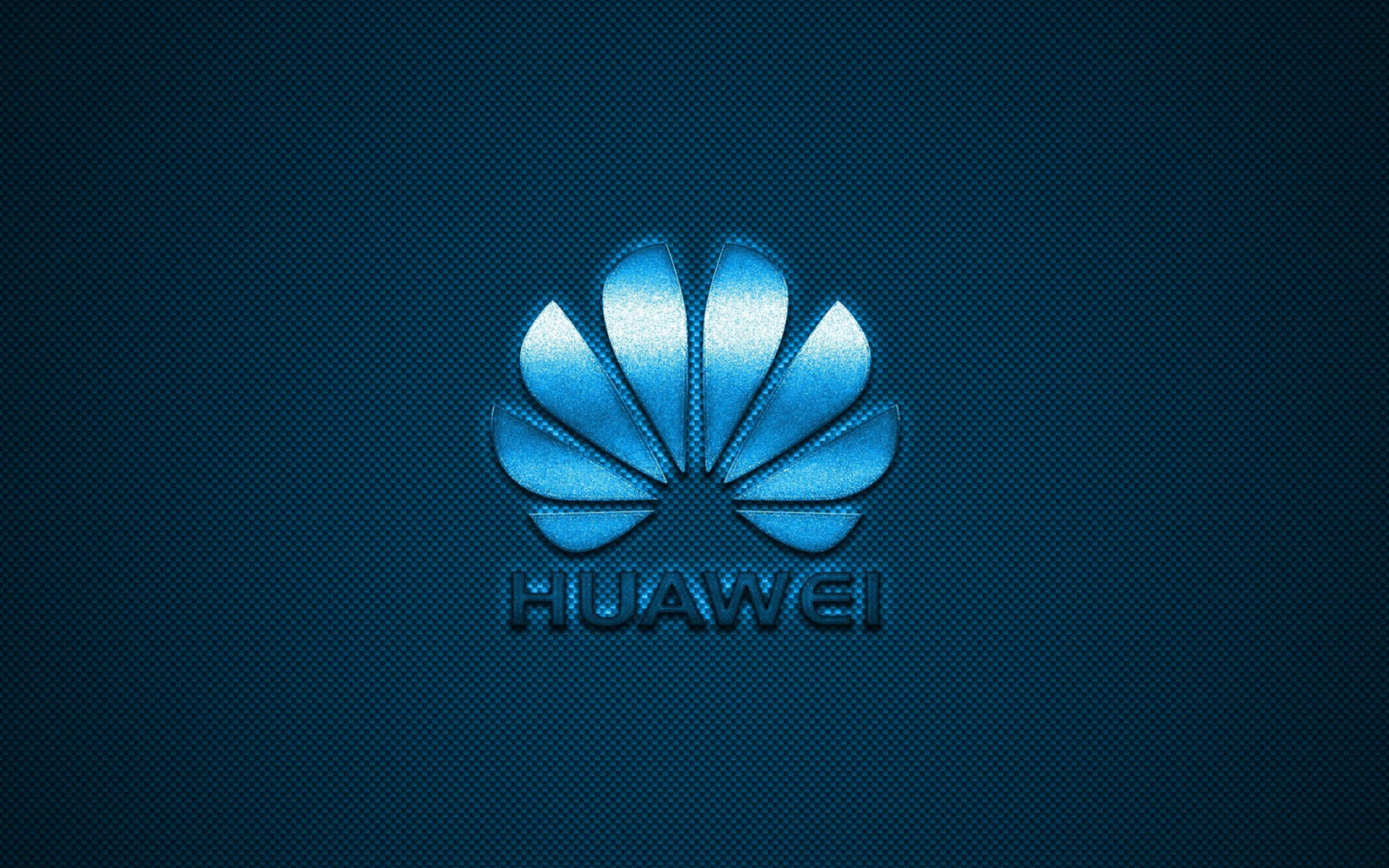 HUAWEI Logo, Brand identity, Distinctive emblem, Global recognition, 2560x1600 HD Desktop