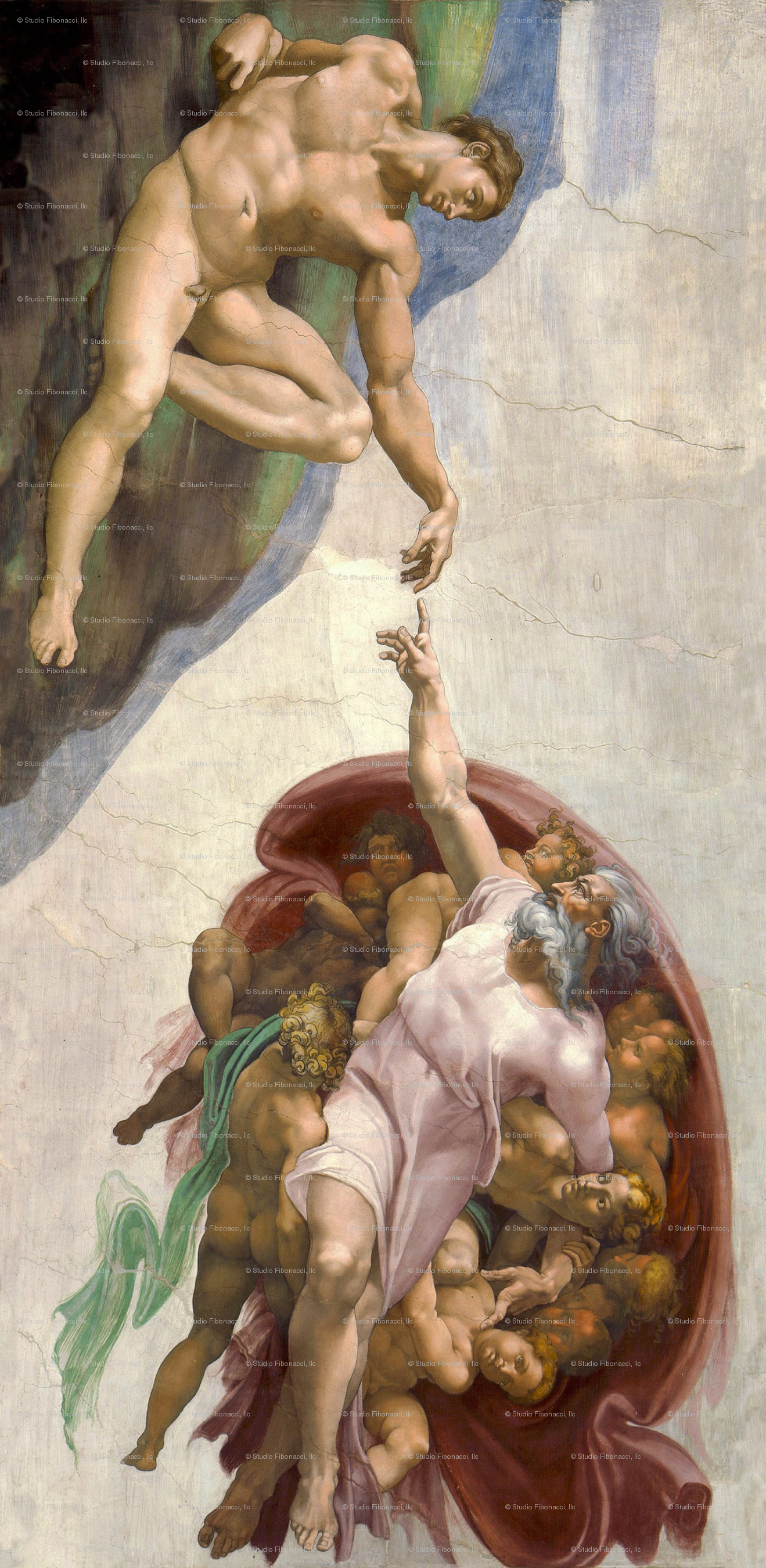 Michelangelo, The Creation of Adam, Top free wallpapers, 1320x2700 HD Phone