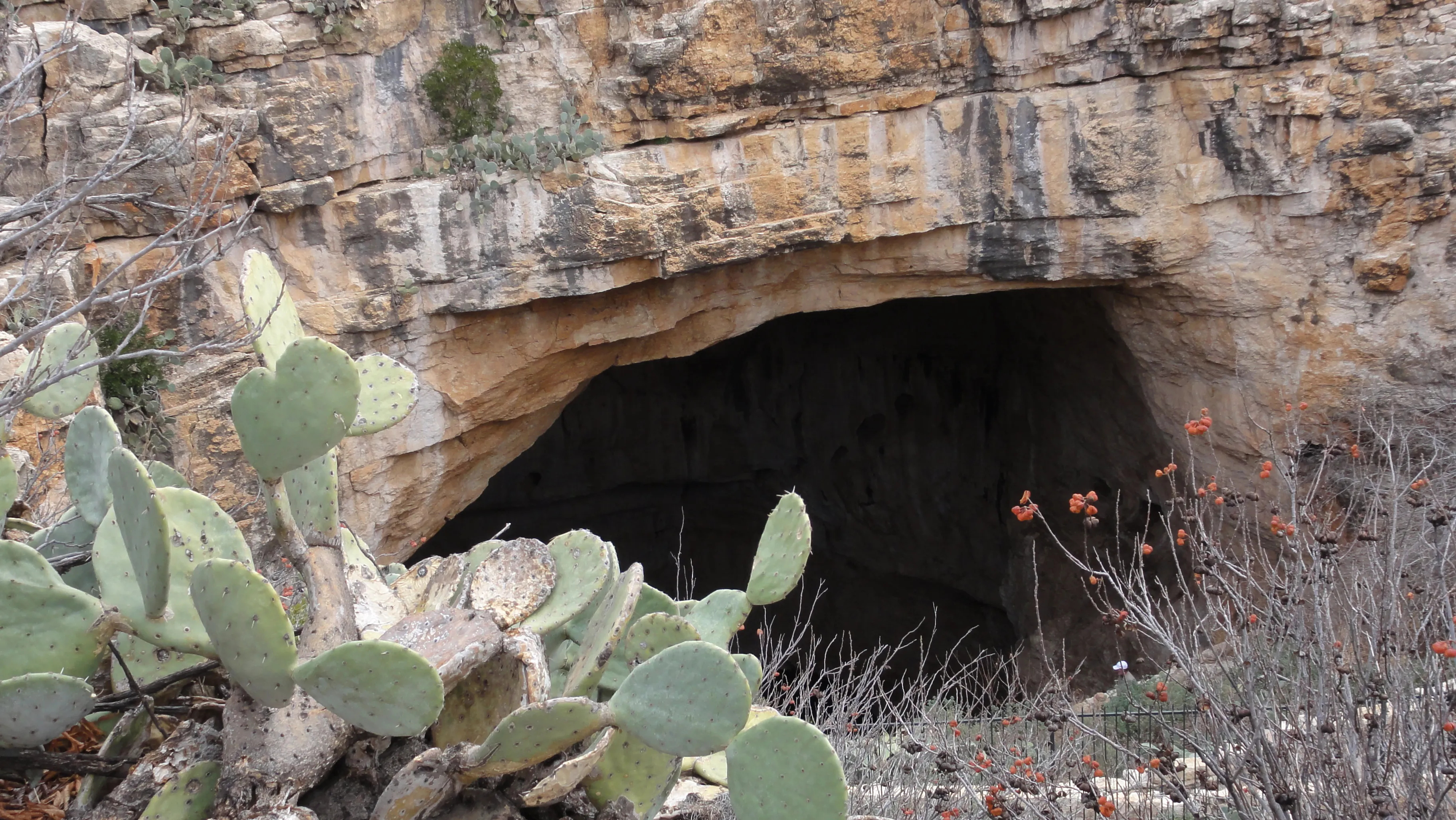Carlsbad Caverns, National Park, Prettiest cave, Natural beauty, 3650x2060 HD Desktop