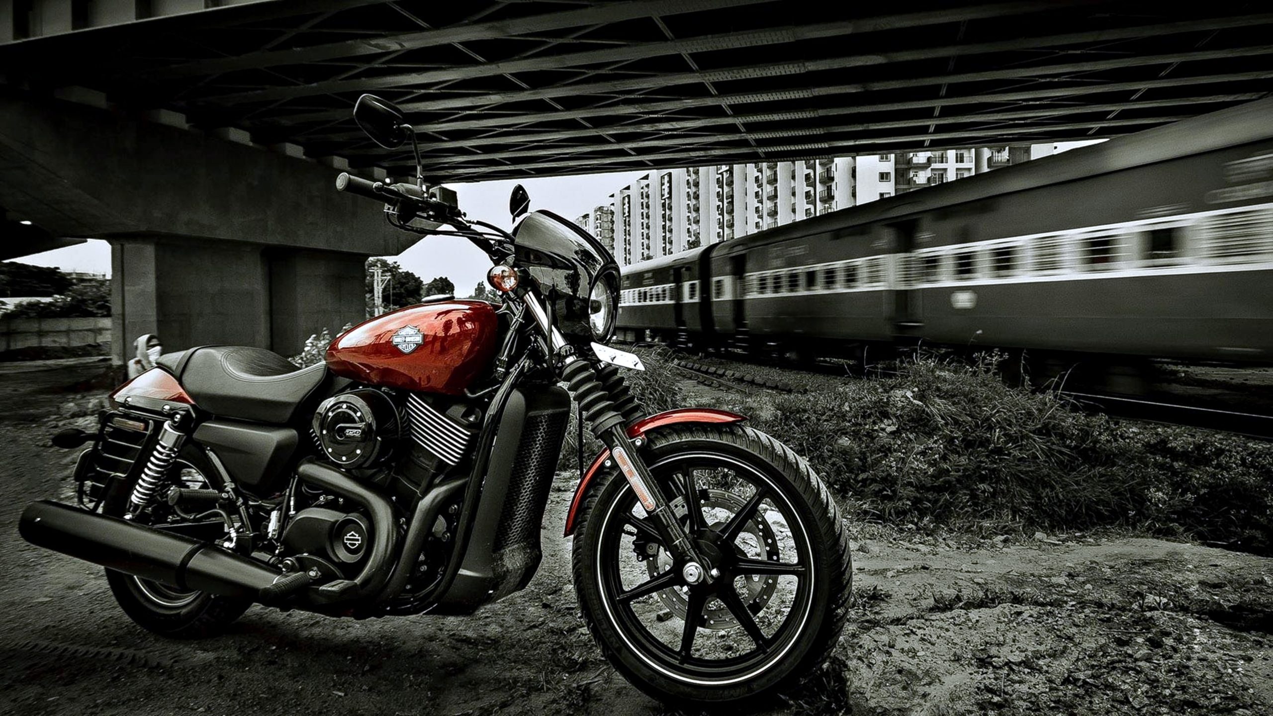 Harley Bikes, 4K wallpapers, Badasshelmetstore, 2560x1440 HD Desktop